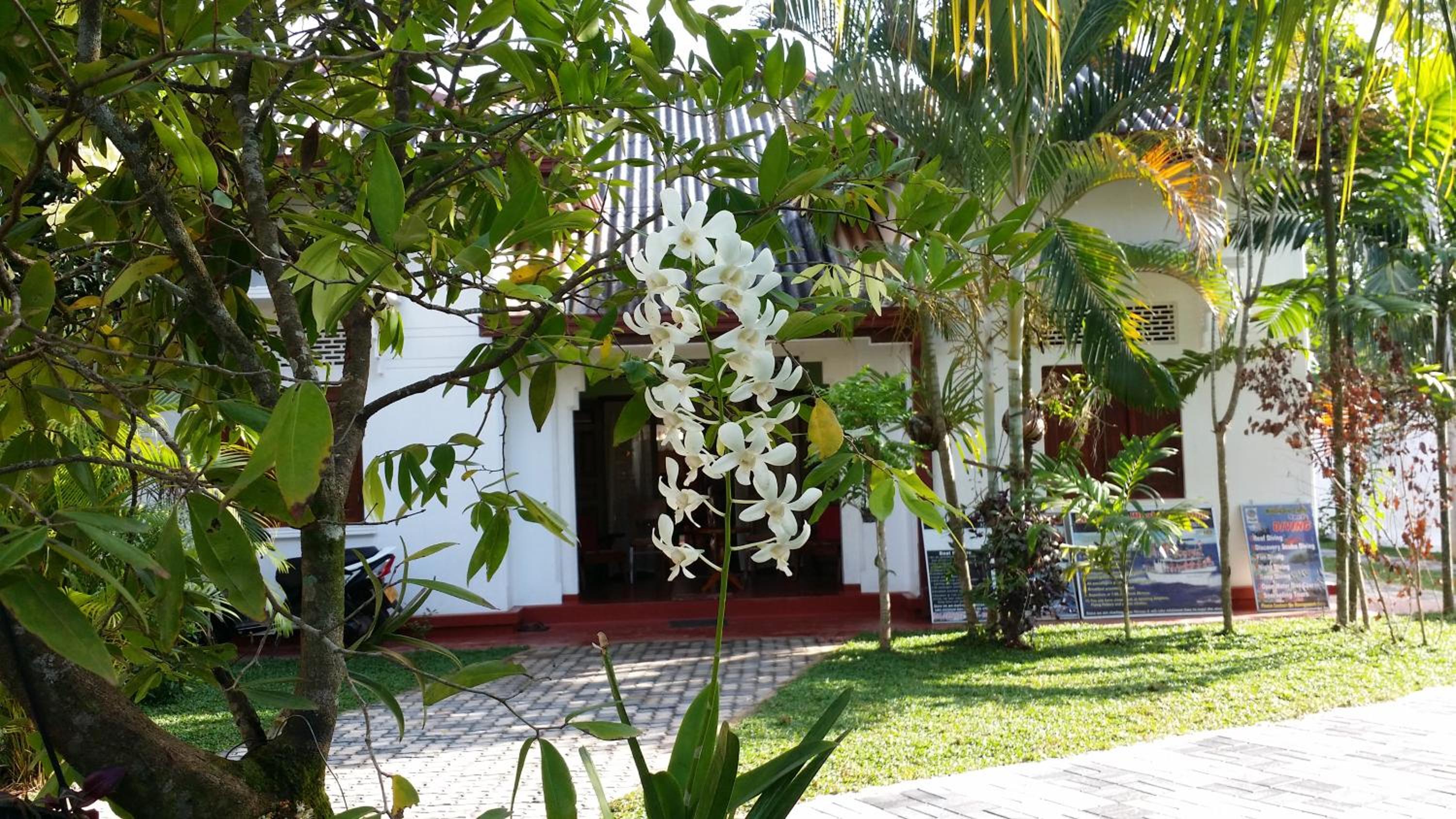 Photo 21