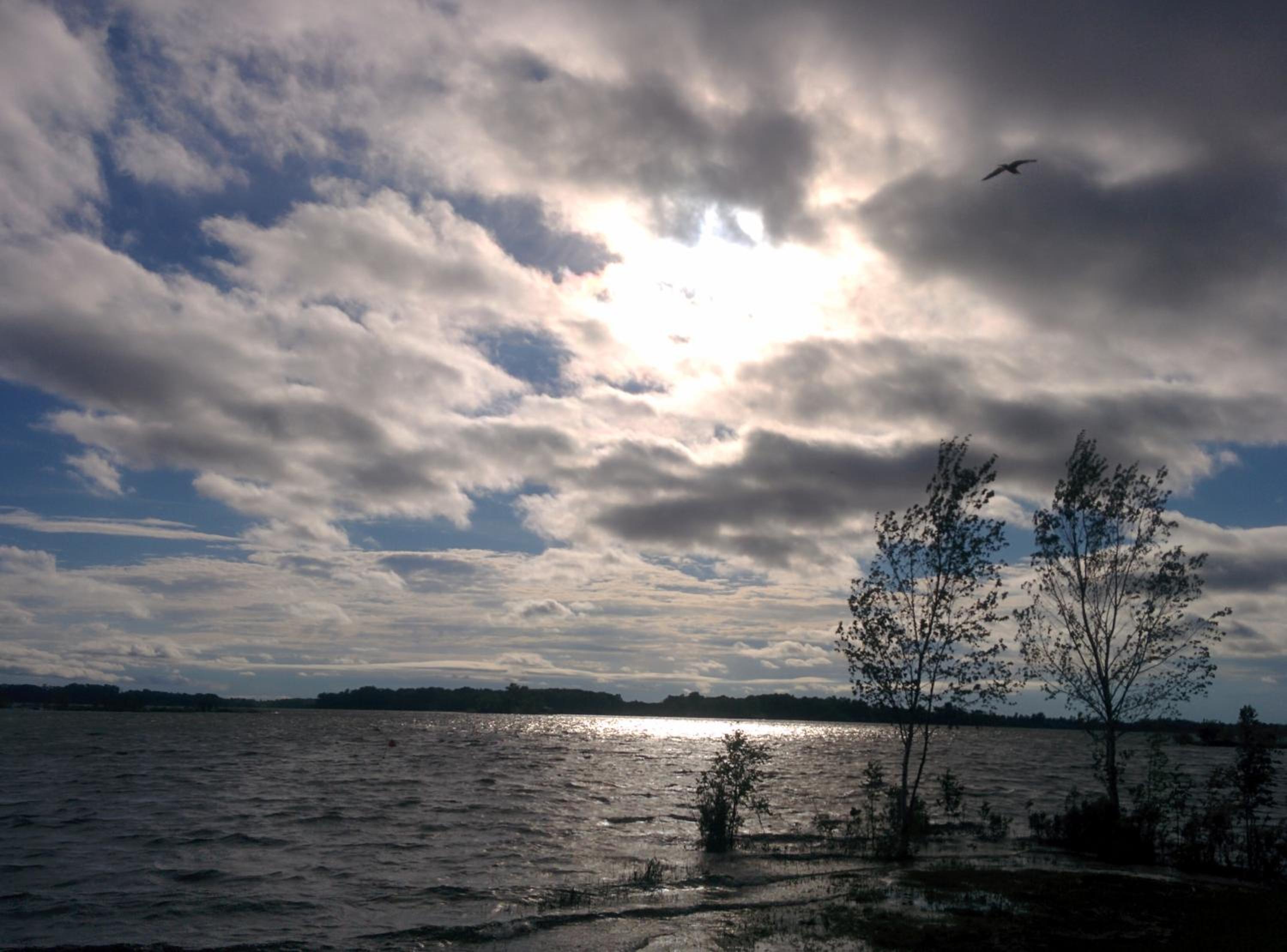 Photo 30