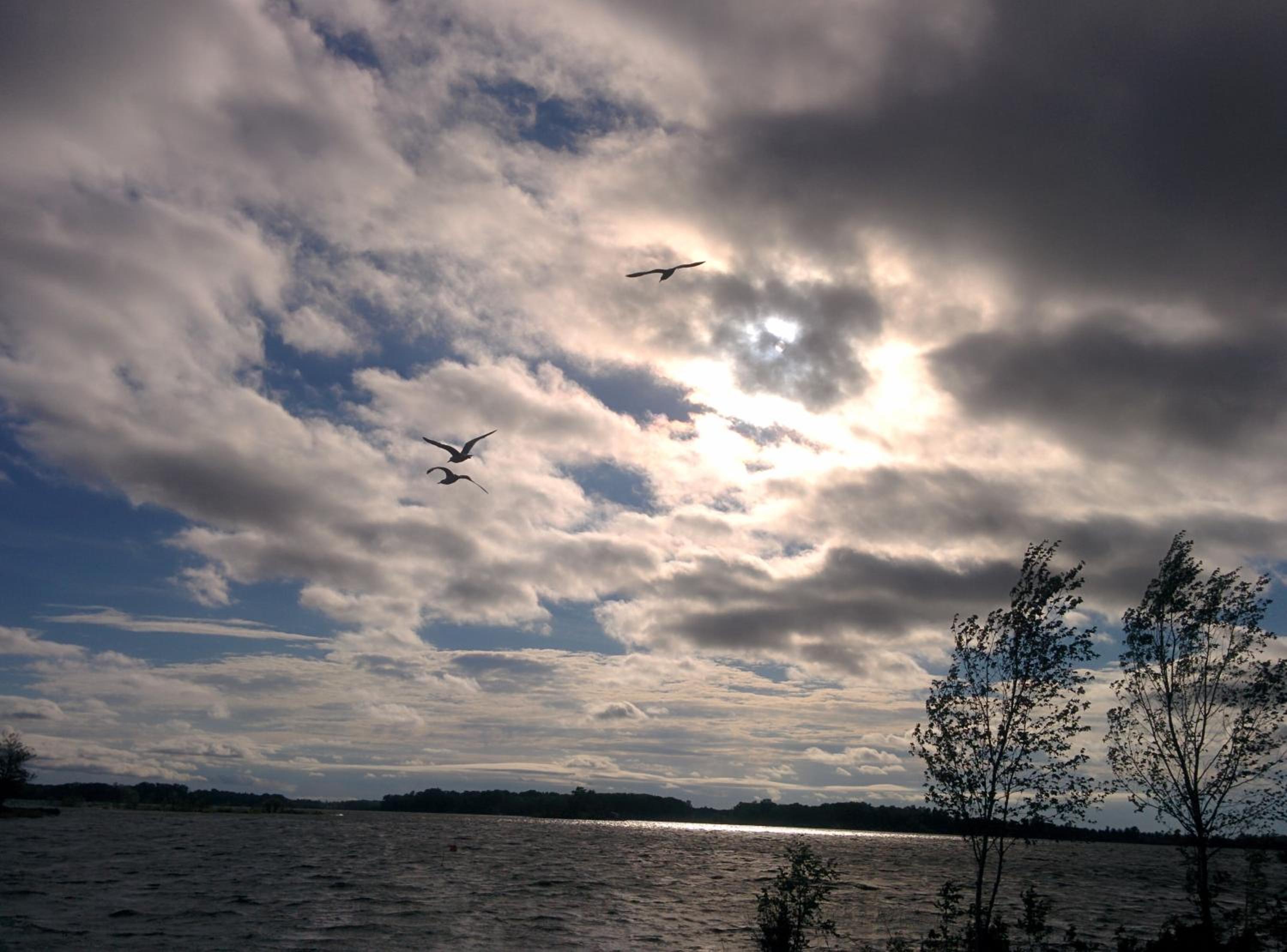 Photo 31