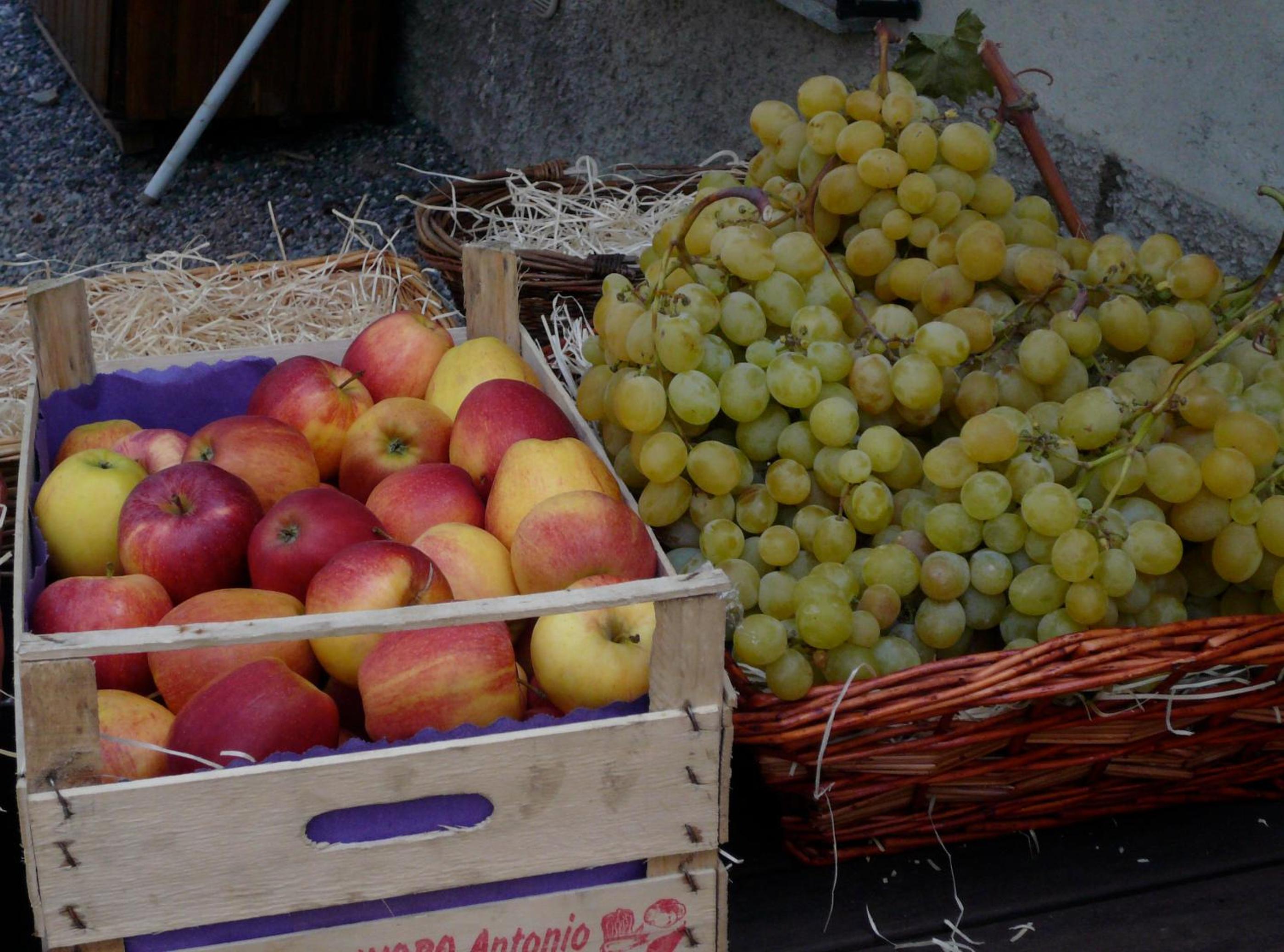 Photo 43
