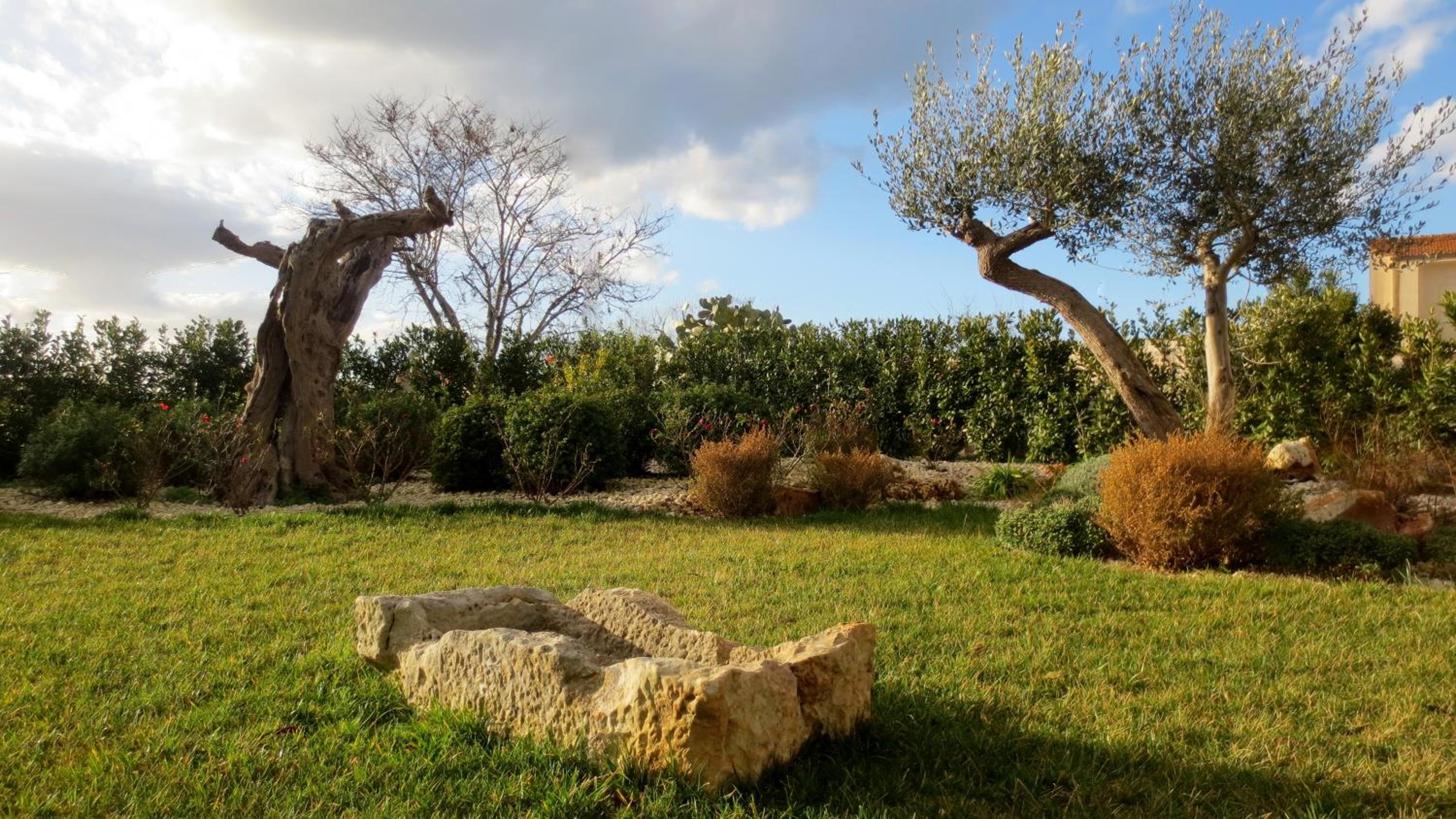 Masseria Corte Masseriola