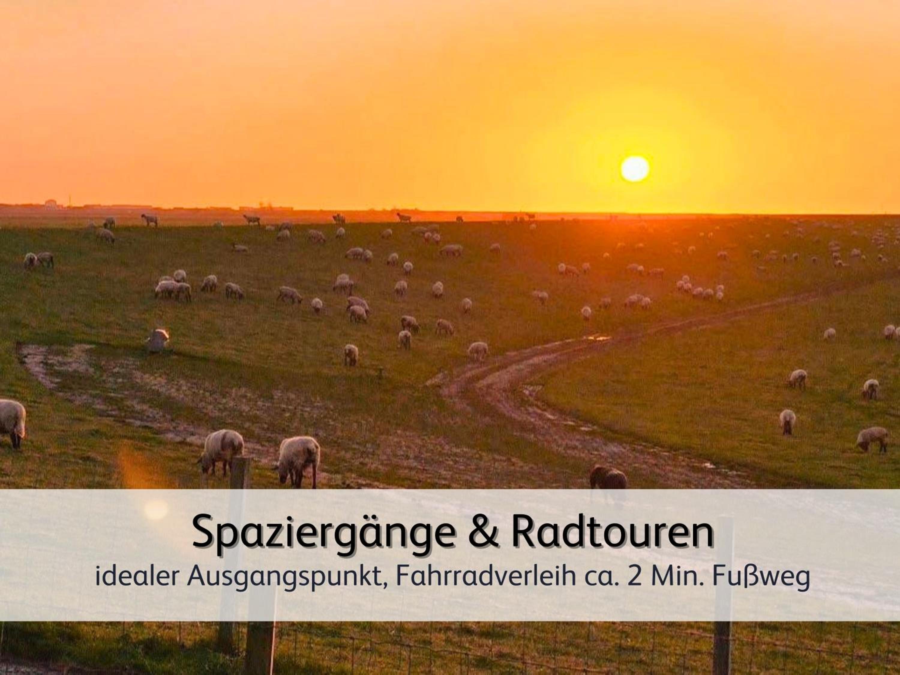 strandnahe Familien-Oase mit Hund
