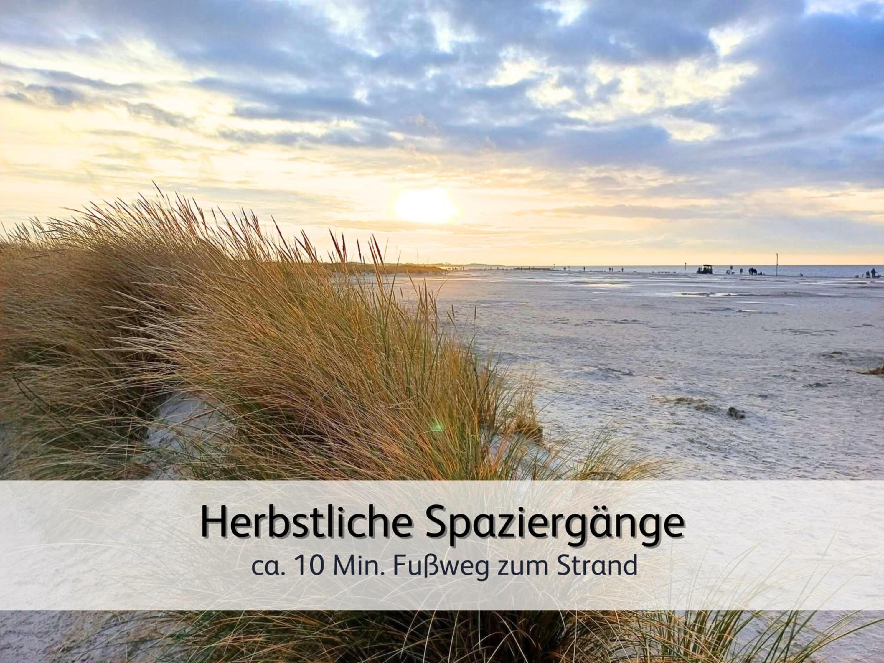 strandnahe Familien-Oase mit Hund