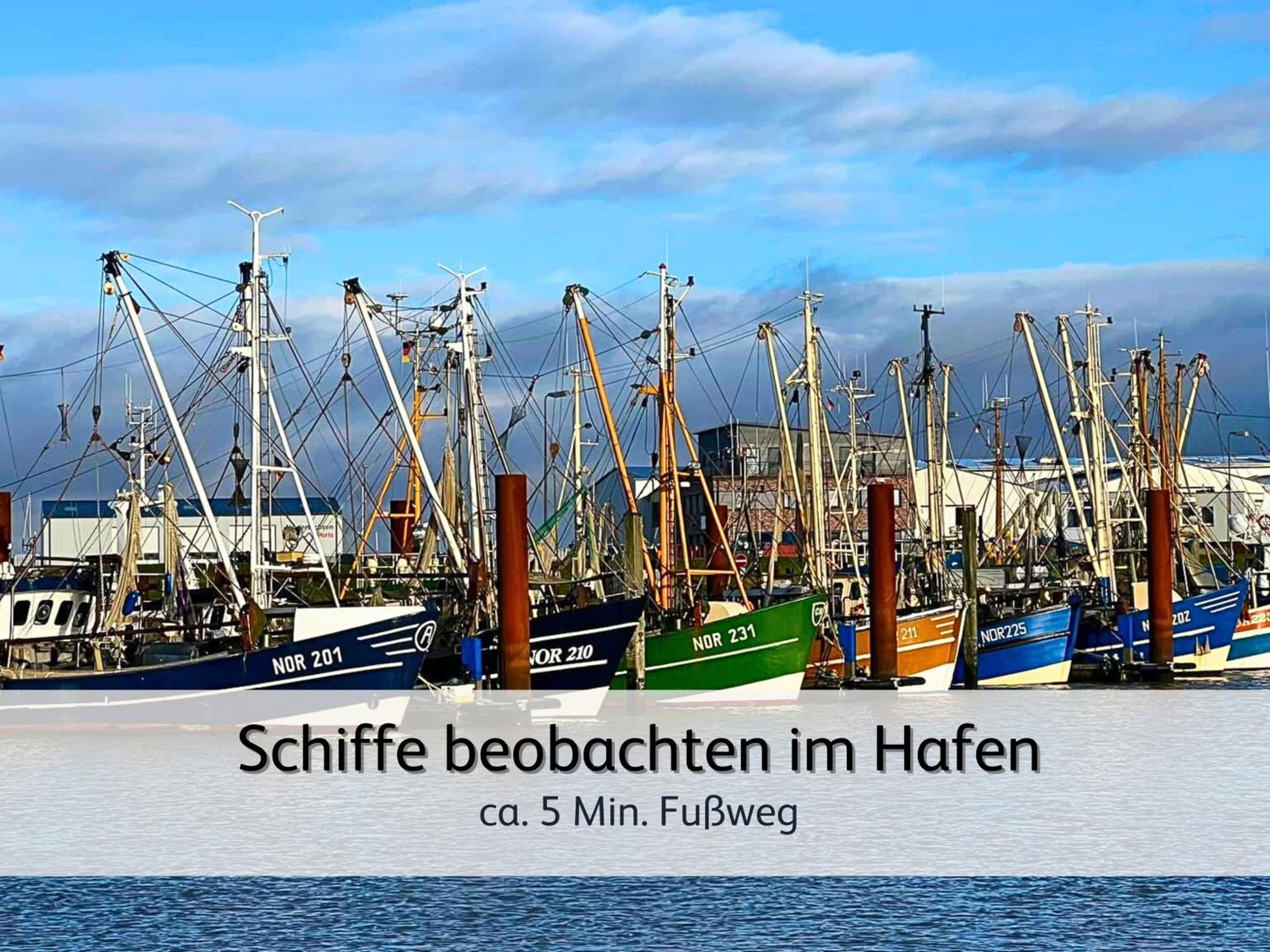 strandnahe Familien-Oase mit Hund