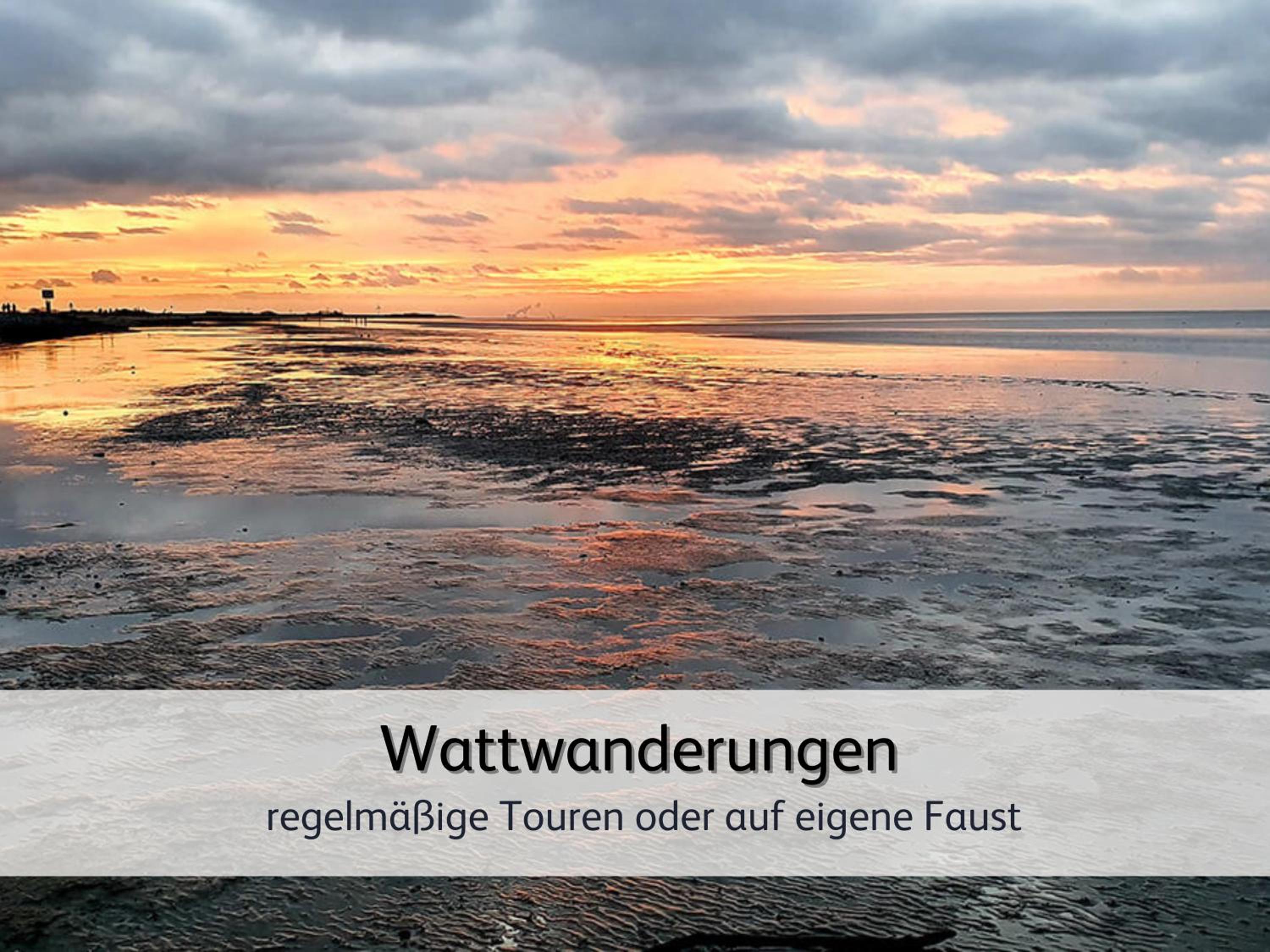 strandnahe Familien-Oase mit Hund