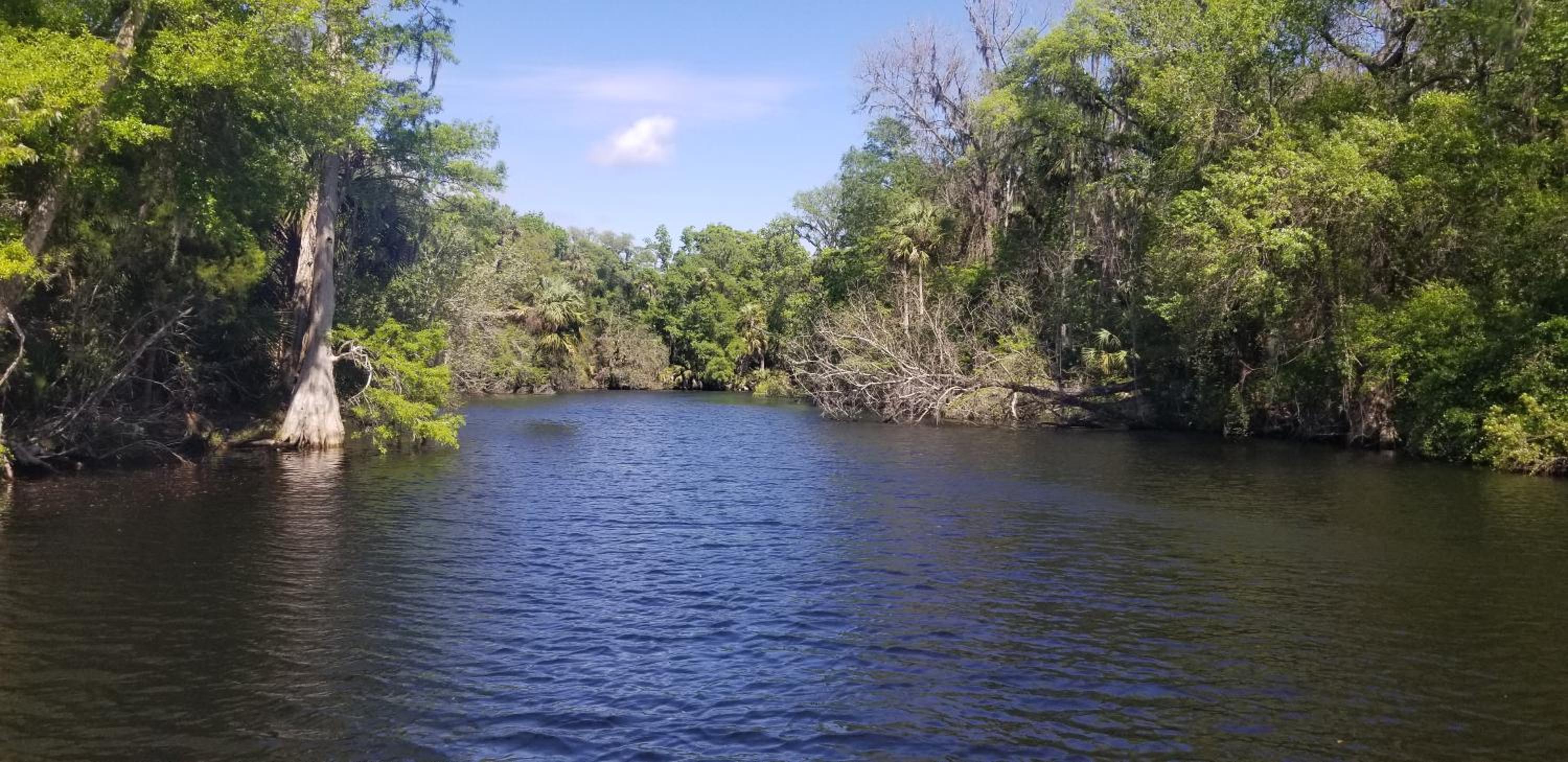 Minutes to boat ramps and beach and private pool!