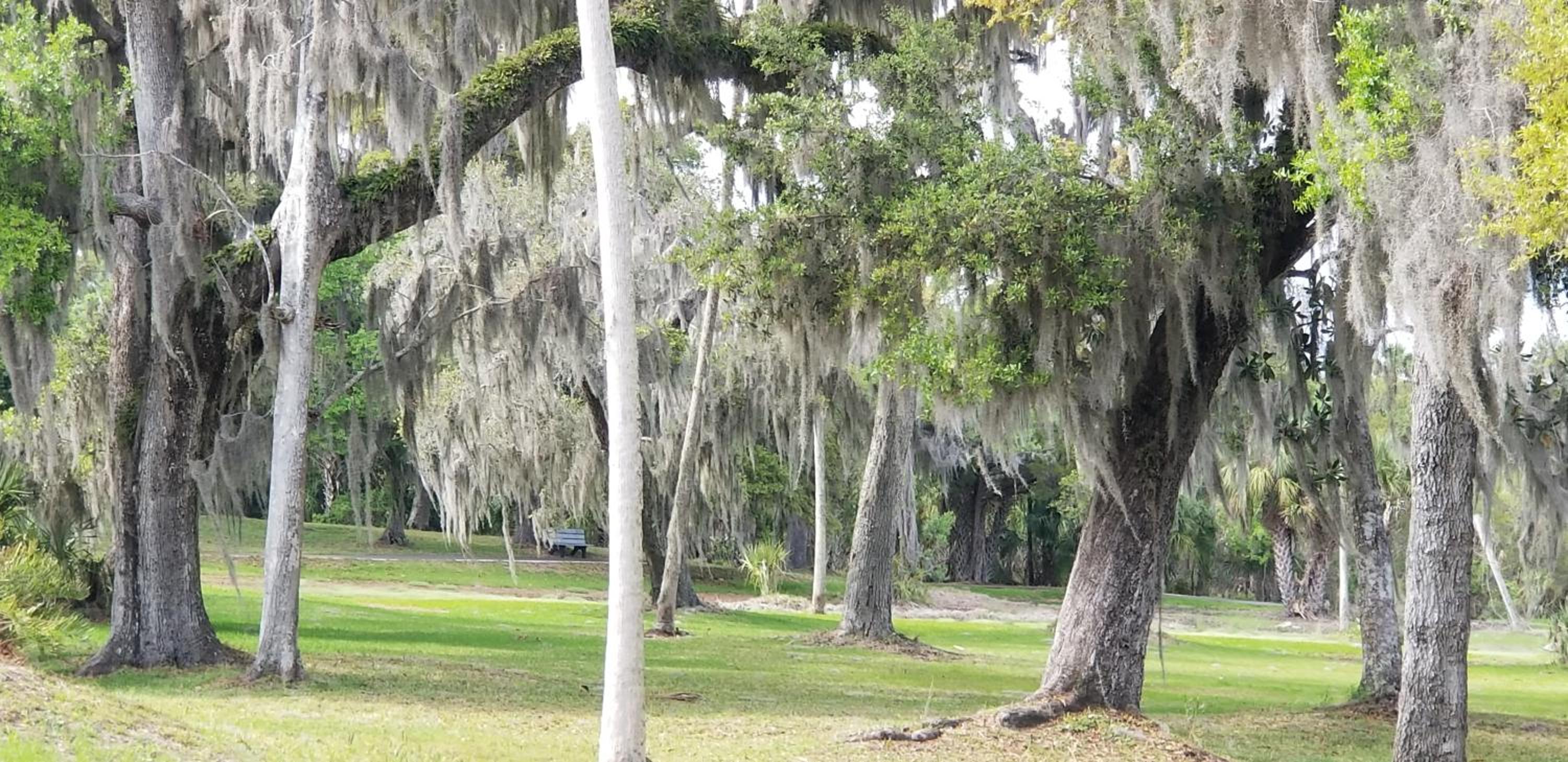 Minutes to boat ramps and beach and private pool!
