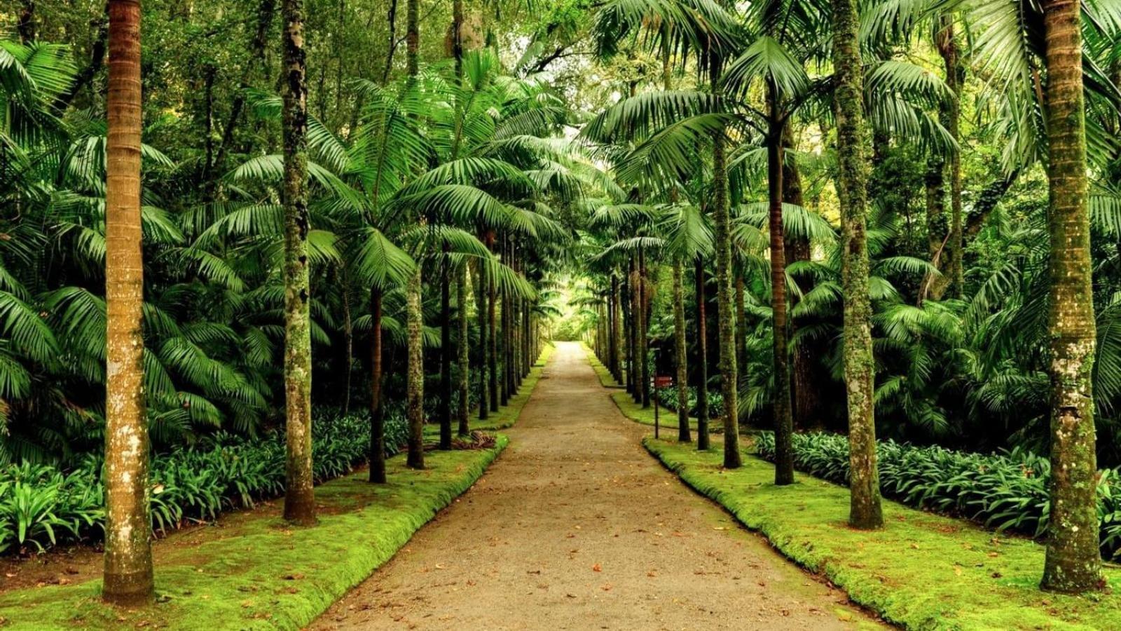 Coração das Furnas