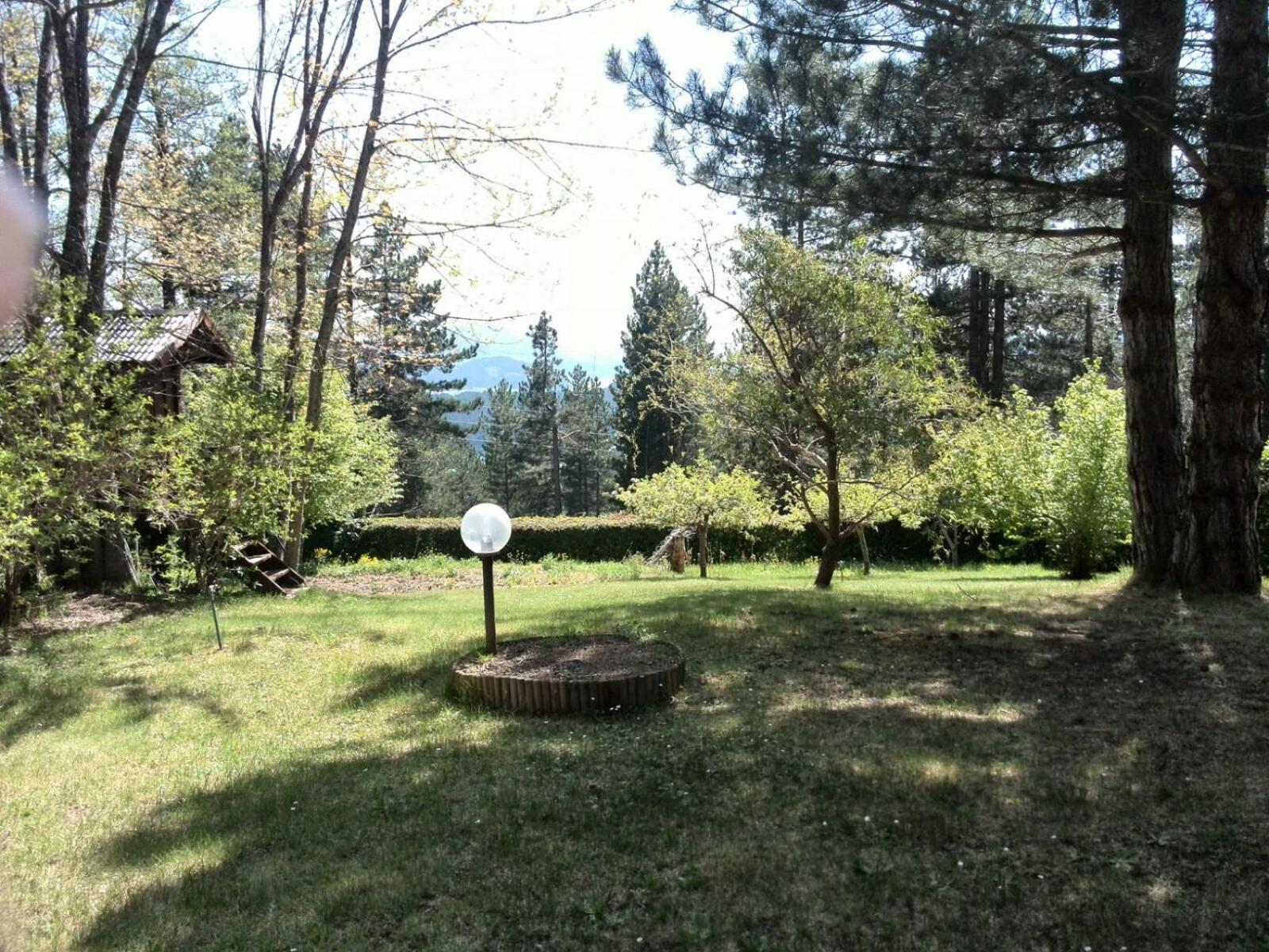 Photo 35