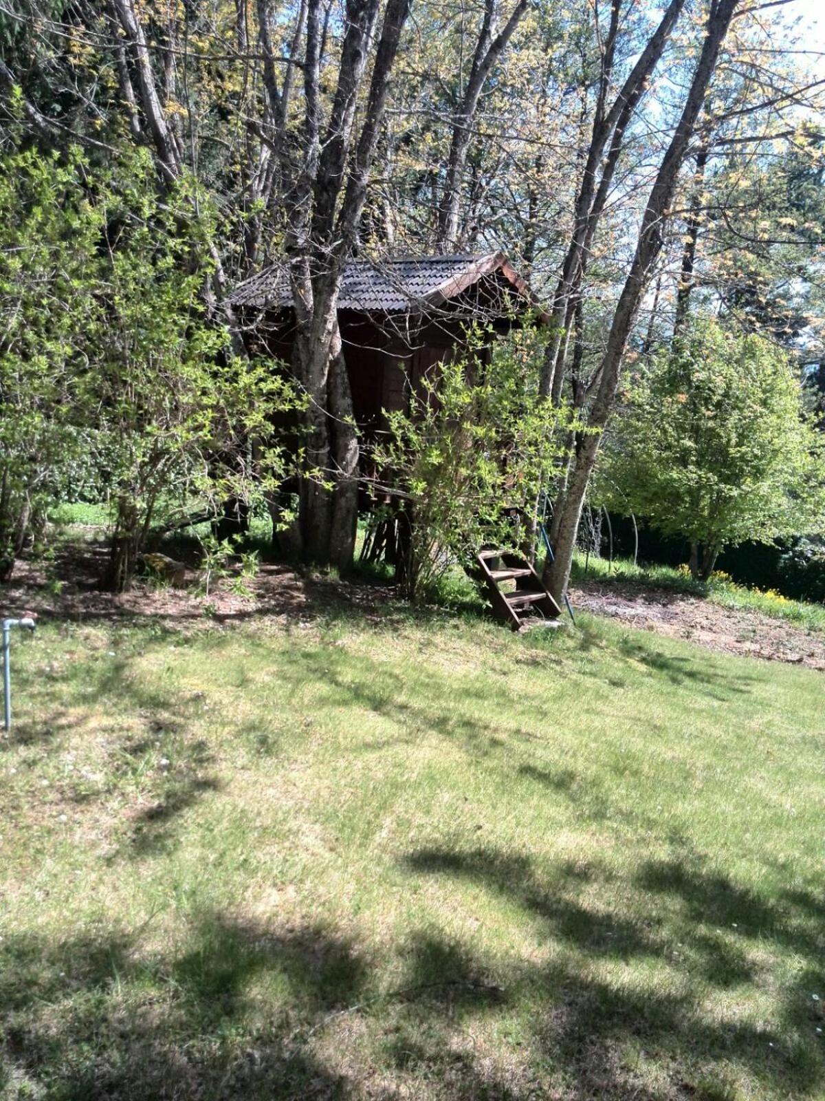 Photo 37