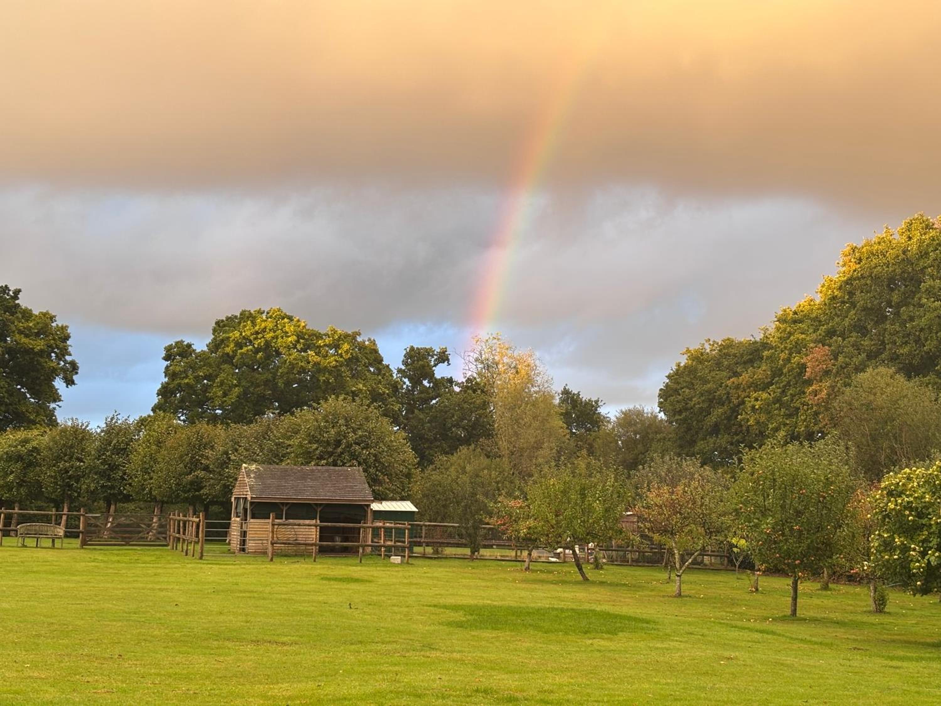 Couple and Pet Friendly Holiday Private Hot Tub and Alpacas Dorset UK
