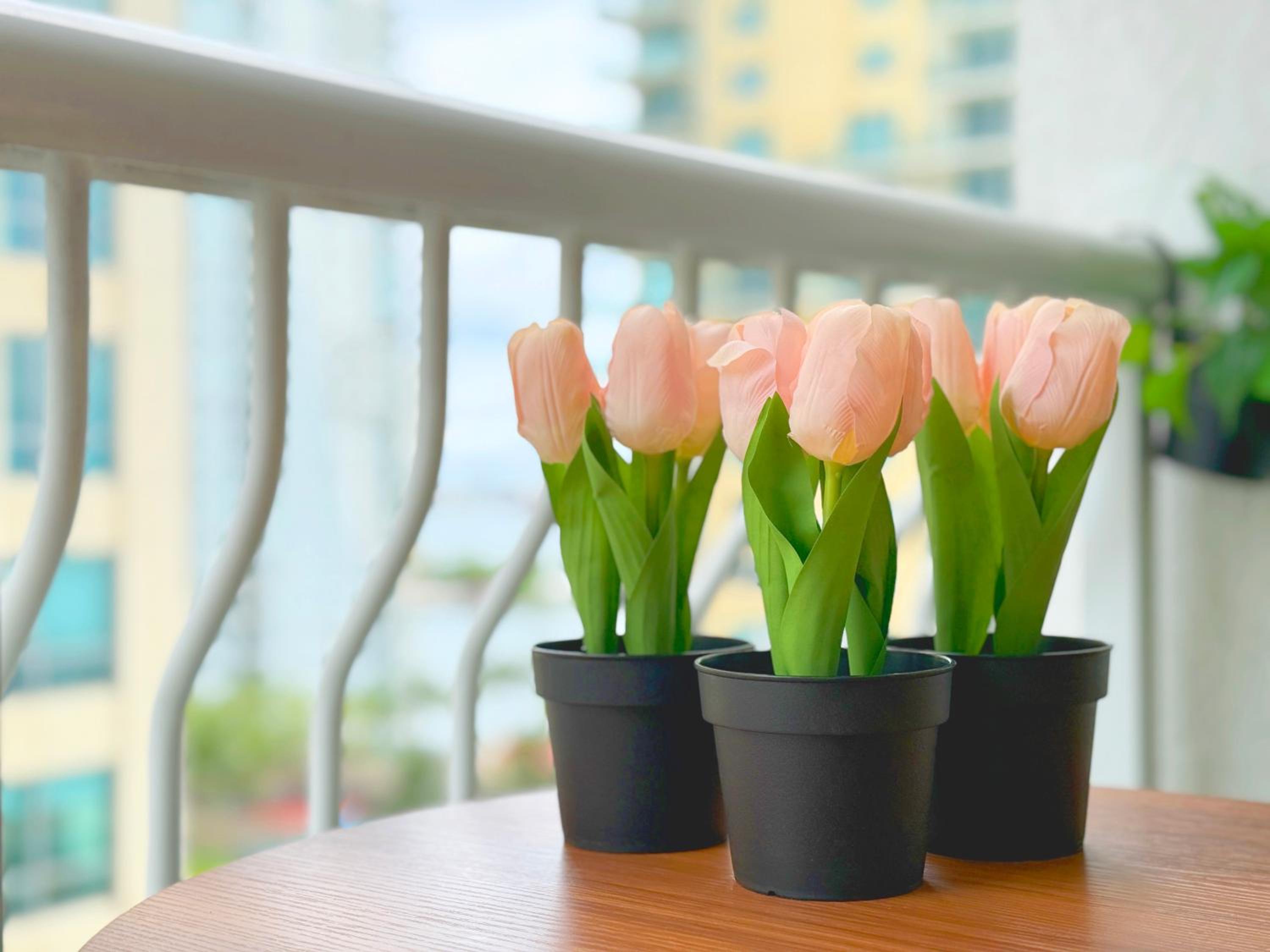 The Bay Suites - Brickell