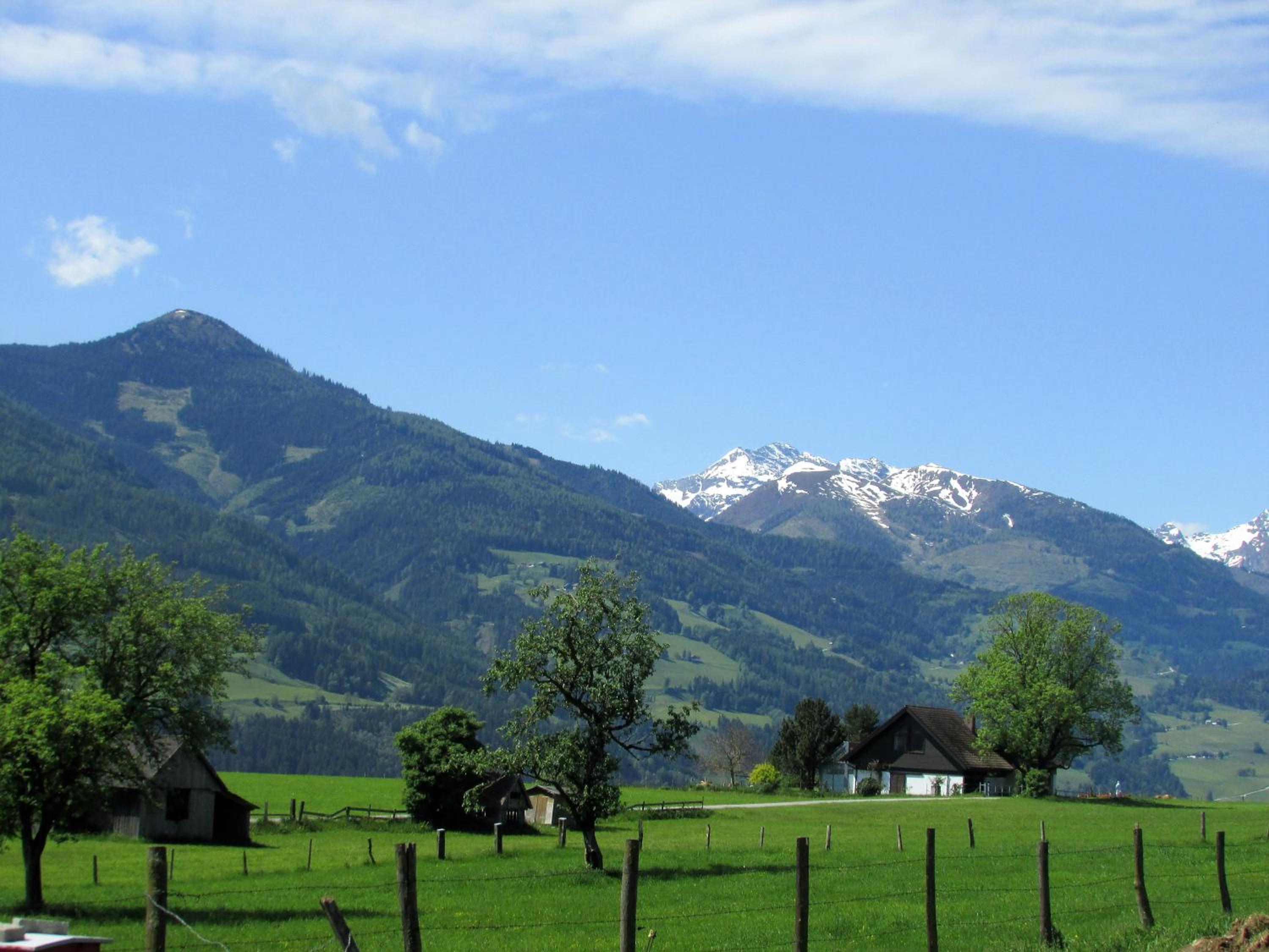 Photo 50
