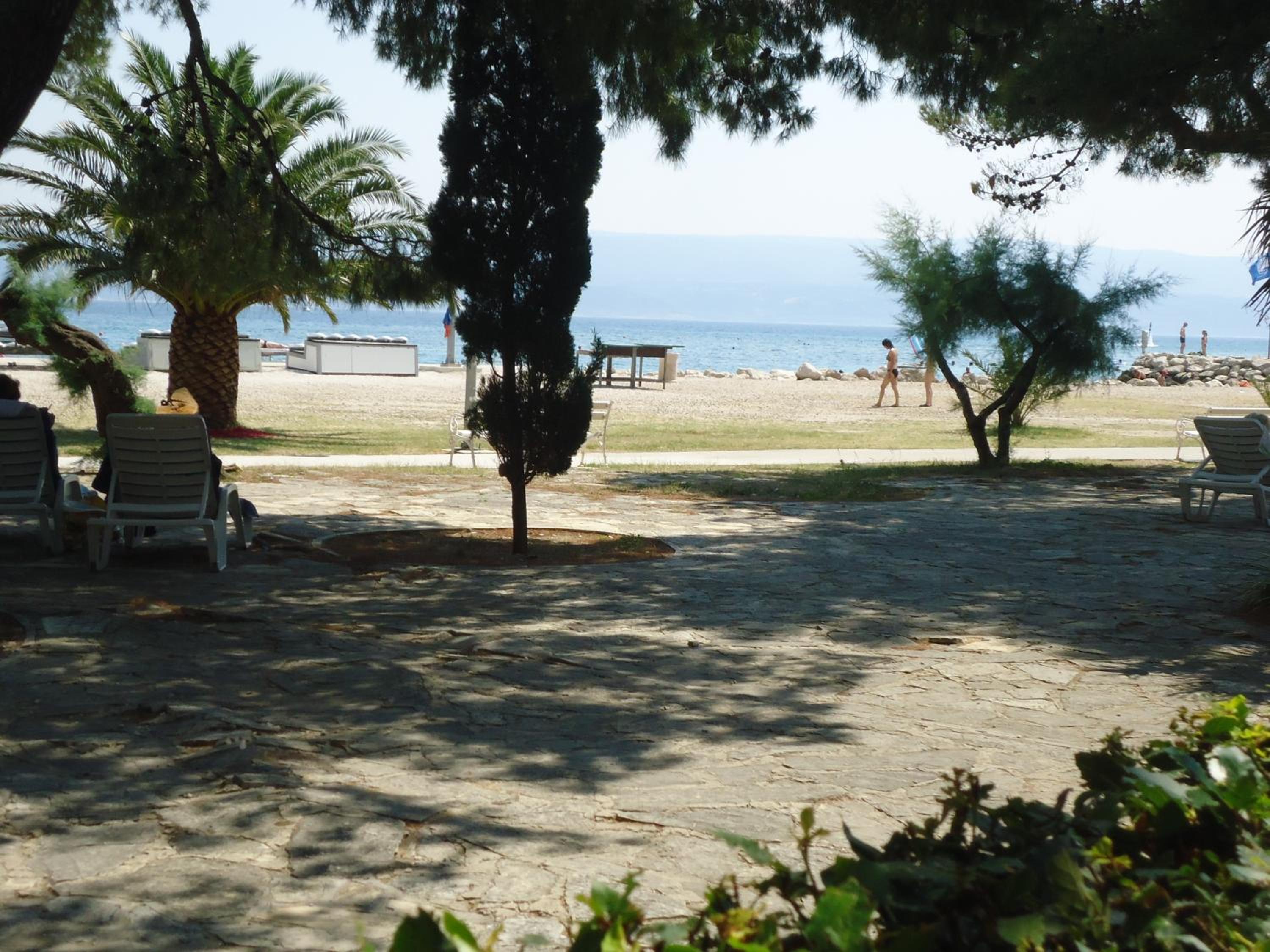 Photo 44