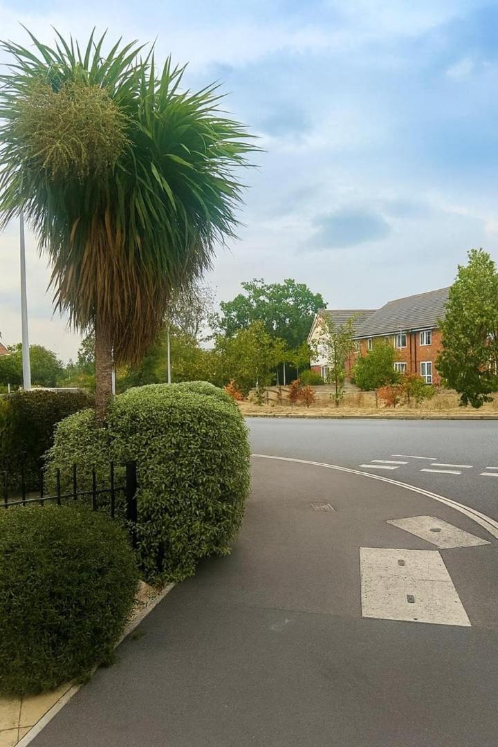Reading Retreat – 1 Bed with Private Parking