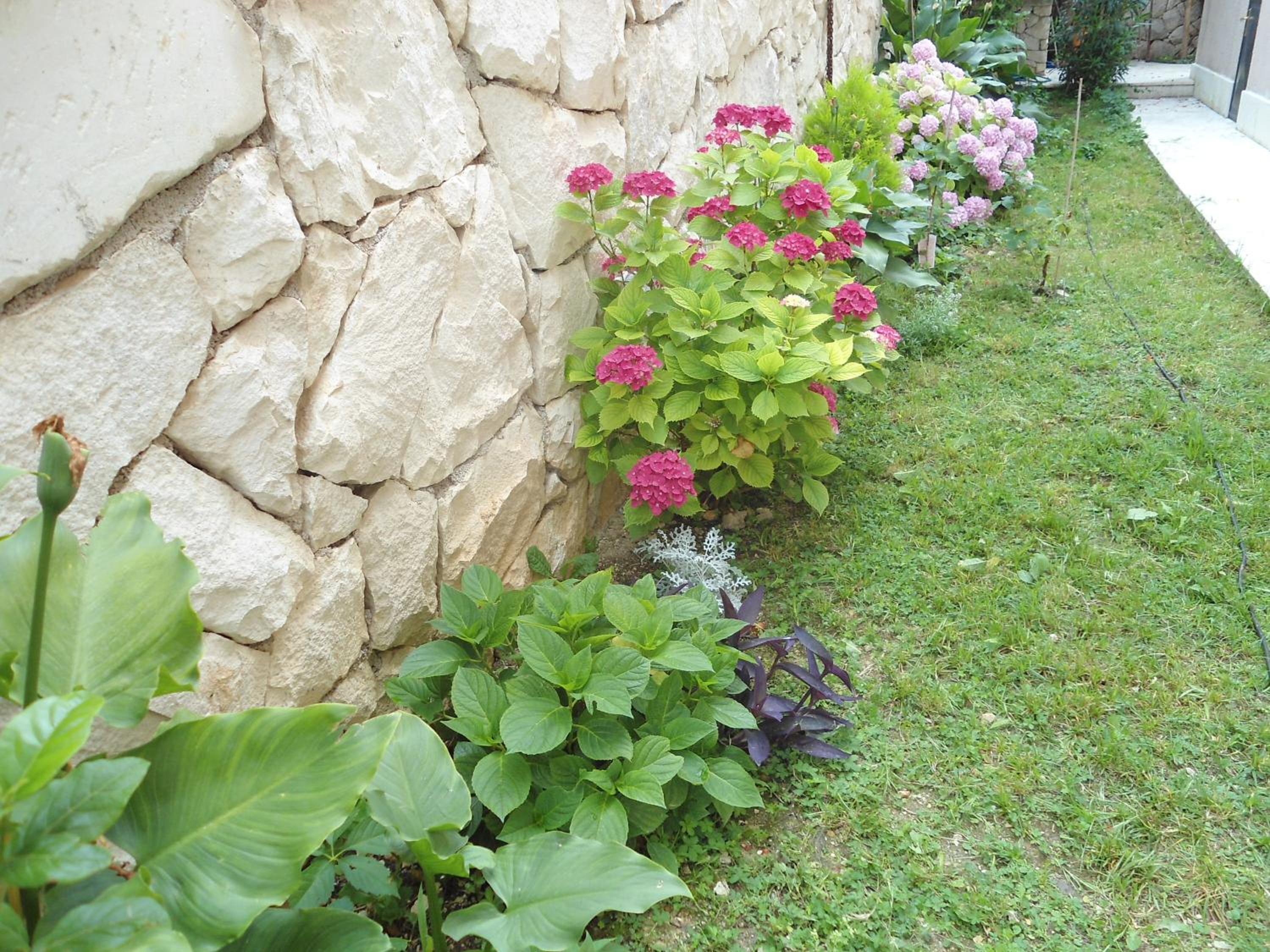 Photo 55