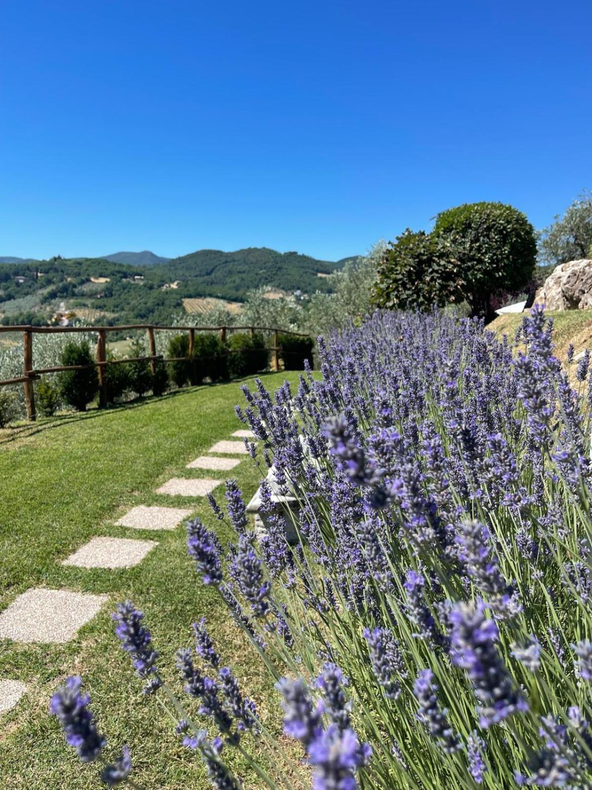 Agriturismo Collerisana, photo 3