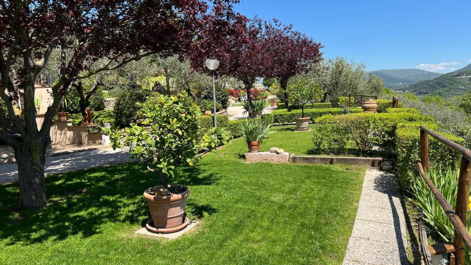Agriturismo Collerisana, photo 8