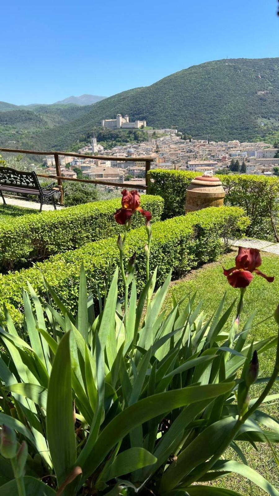 Agriturismo Collerisana, photo 23