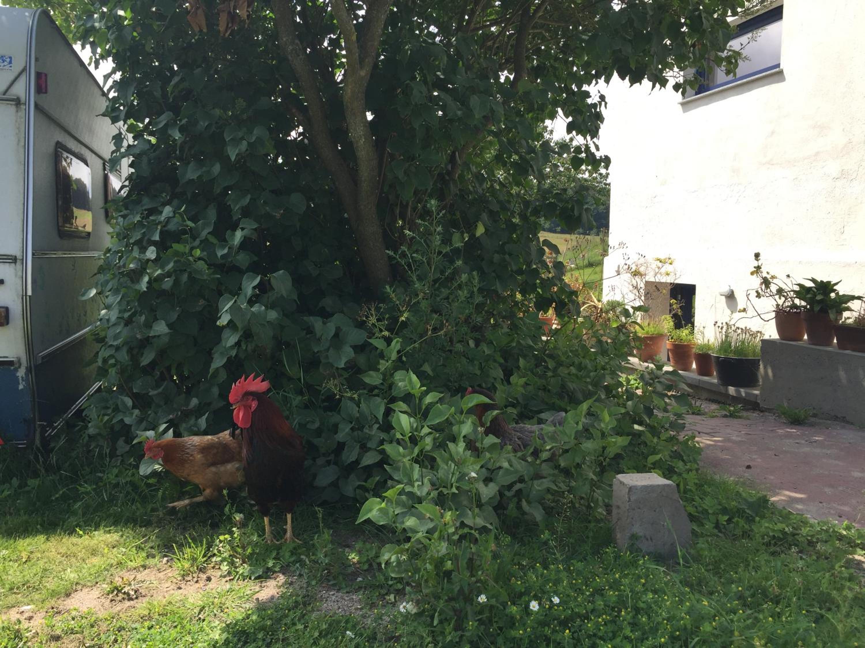 Photo 28
