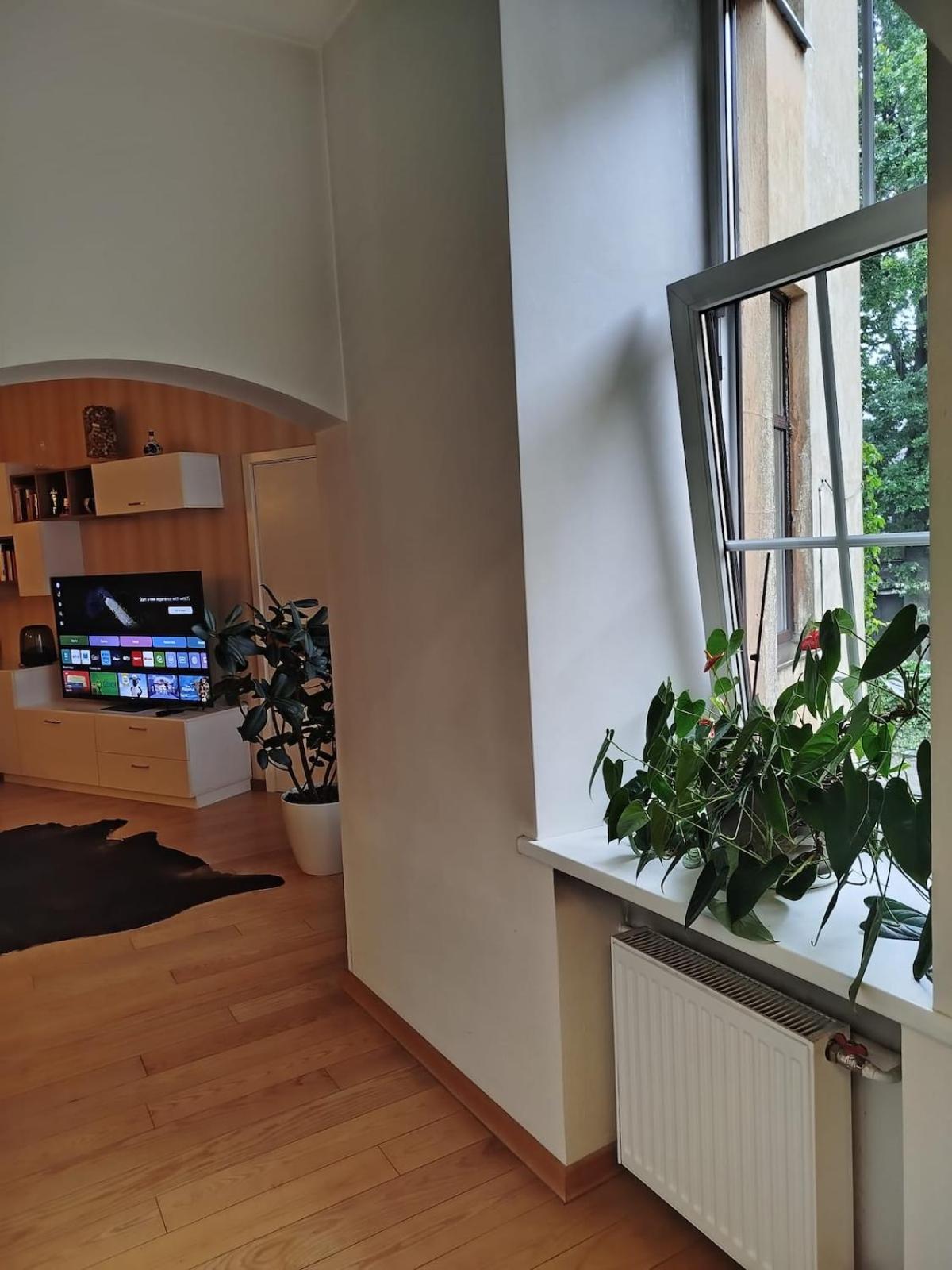Cozy downtown apartment
