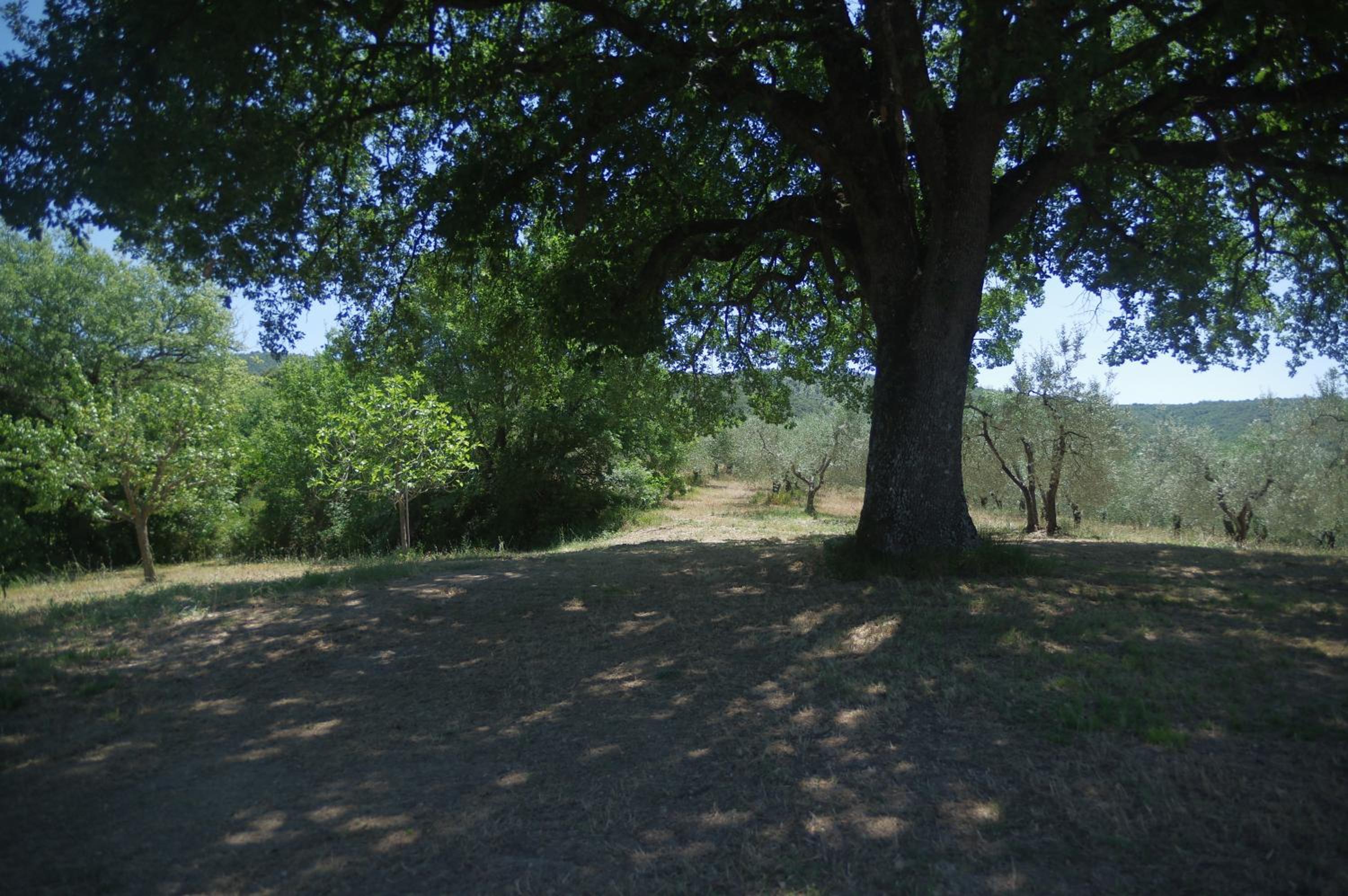Photo 32