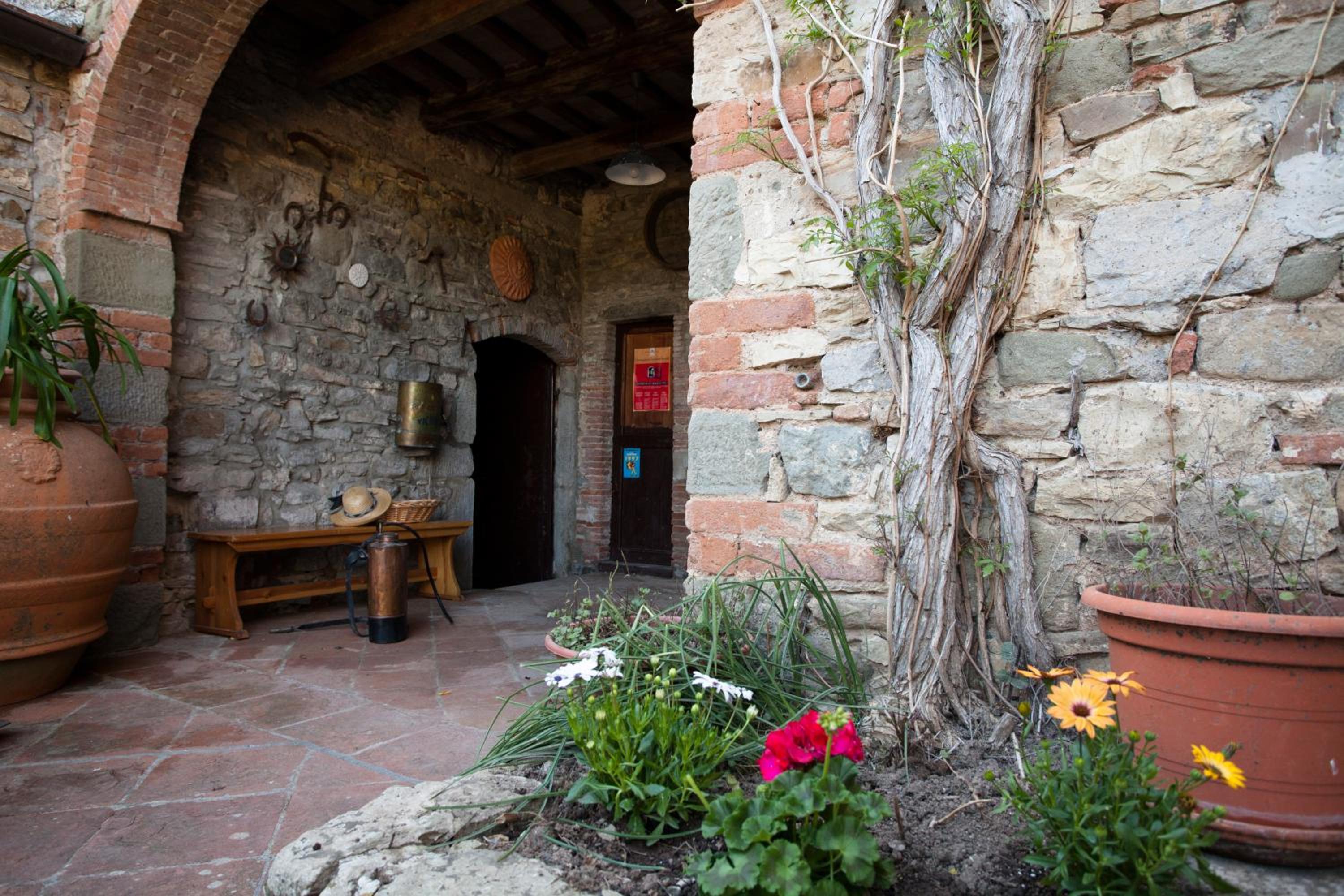 Radda in Chianti Vacations - Podere Terreno alla via della volpaia - Property Image 24
