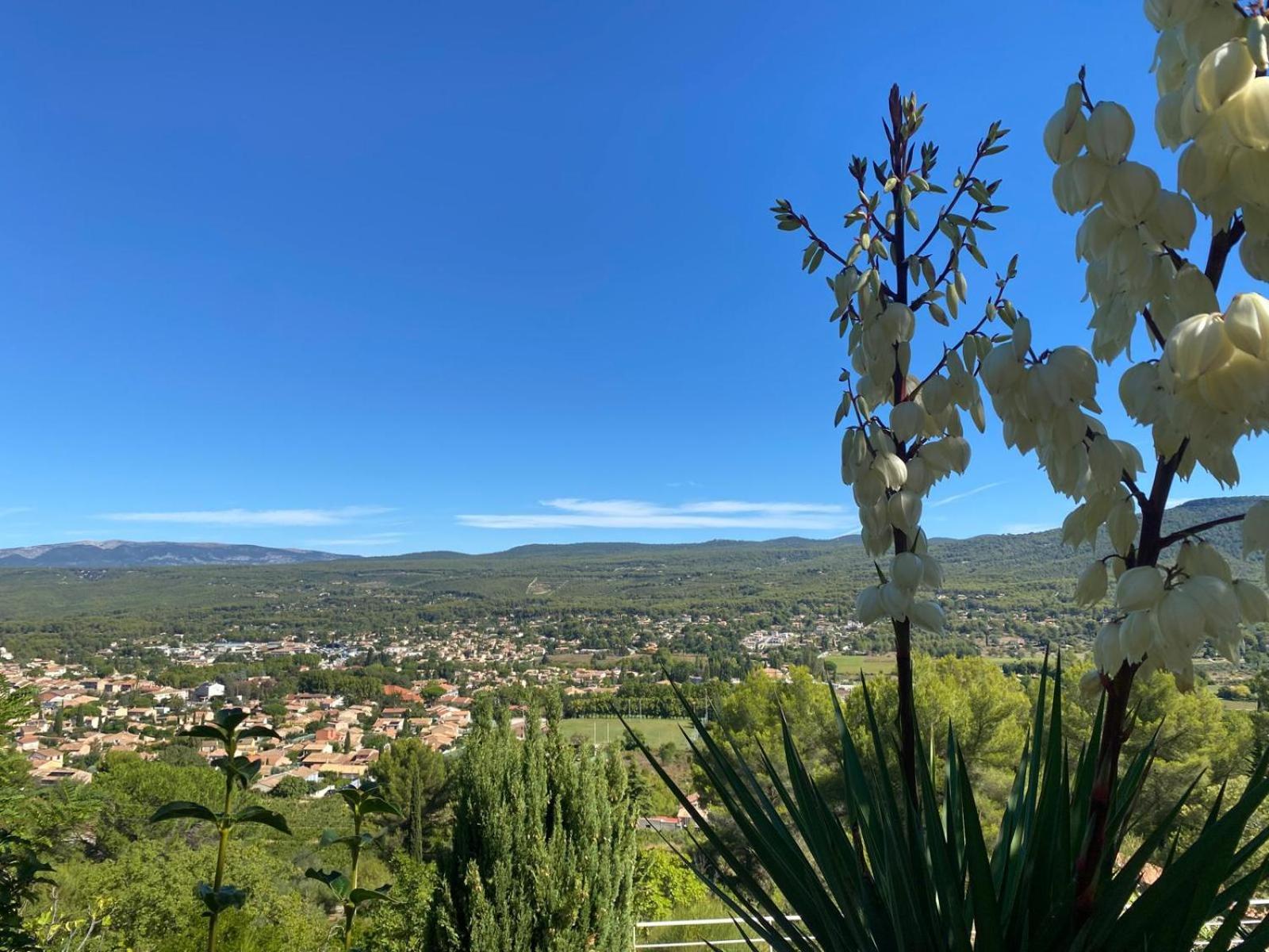 Panorea Garden