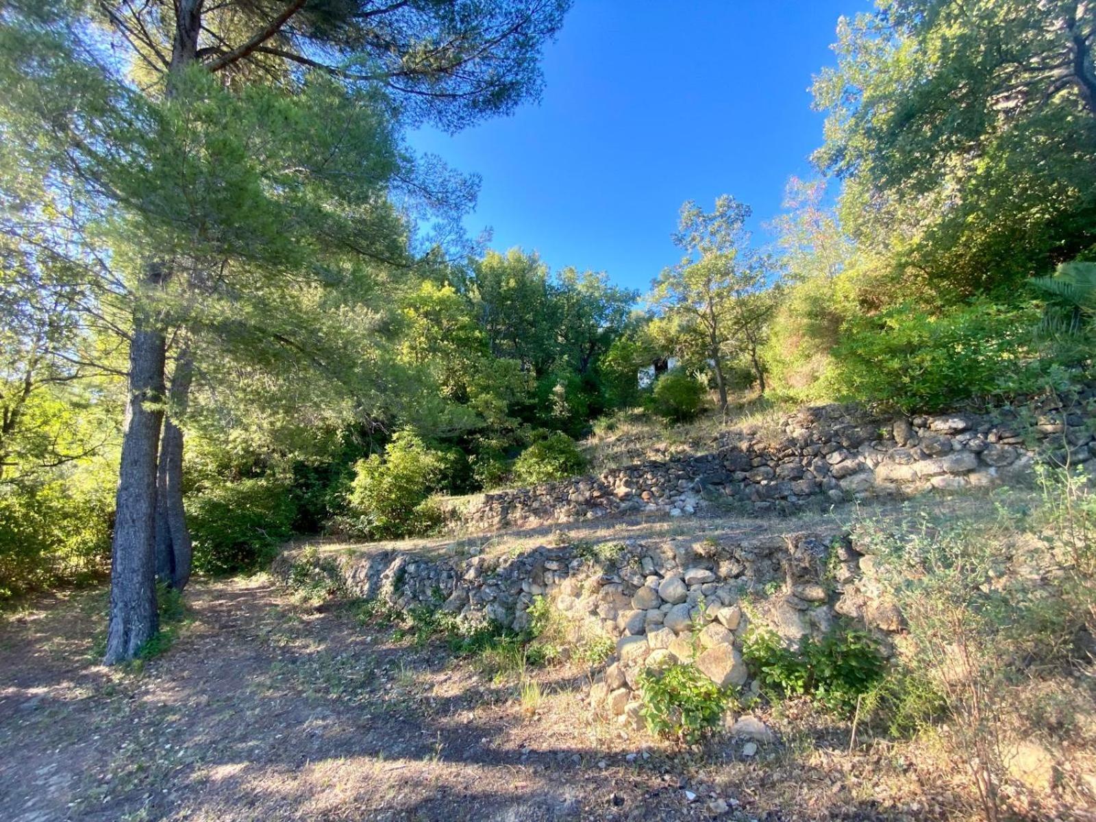 Panorea Garden