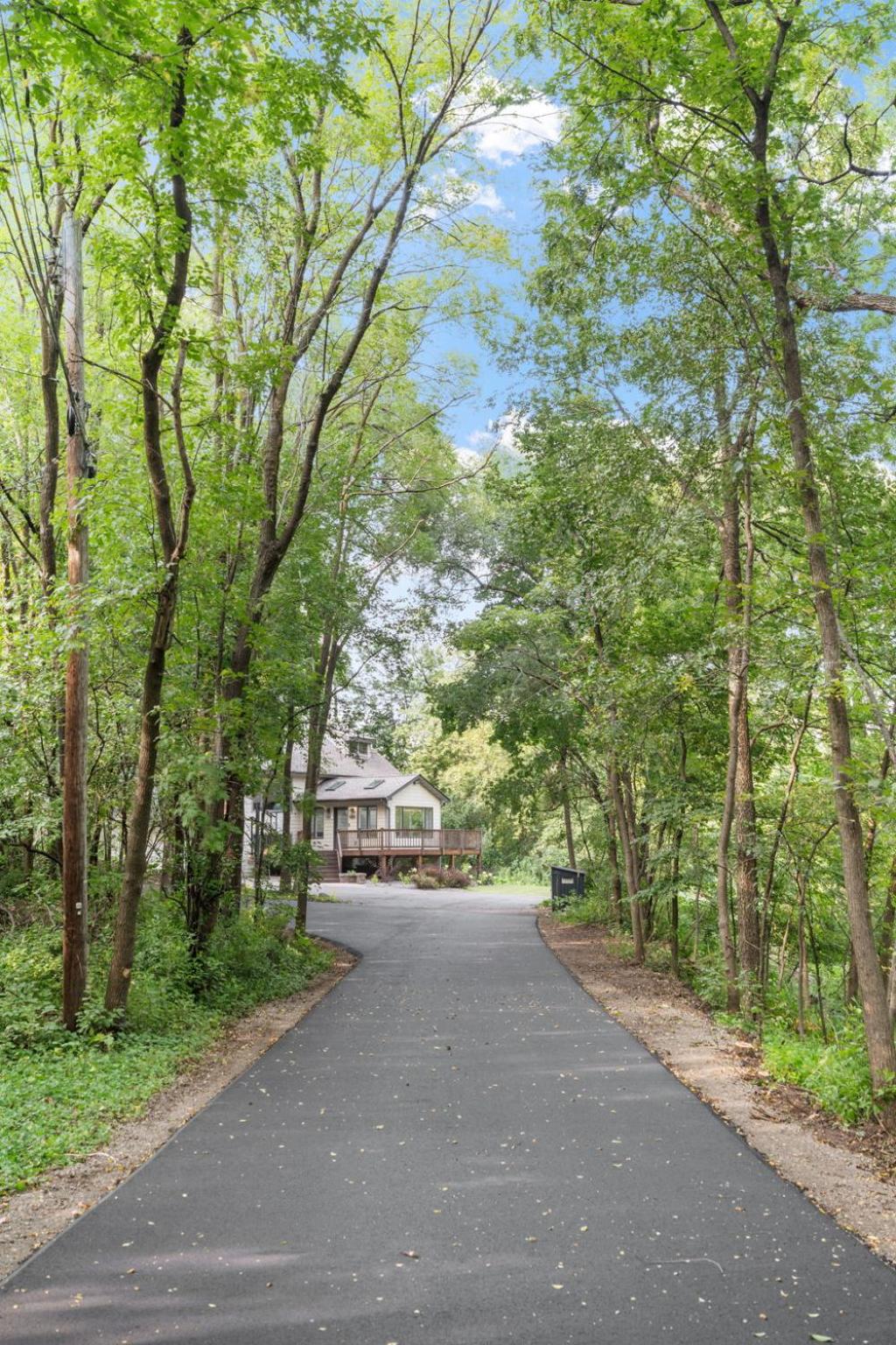 Woodland Hollow