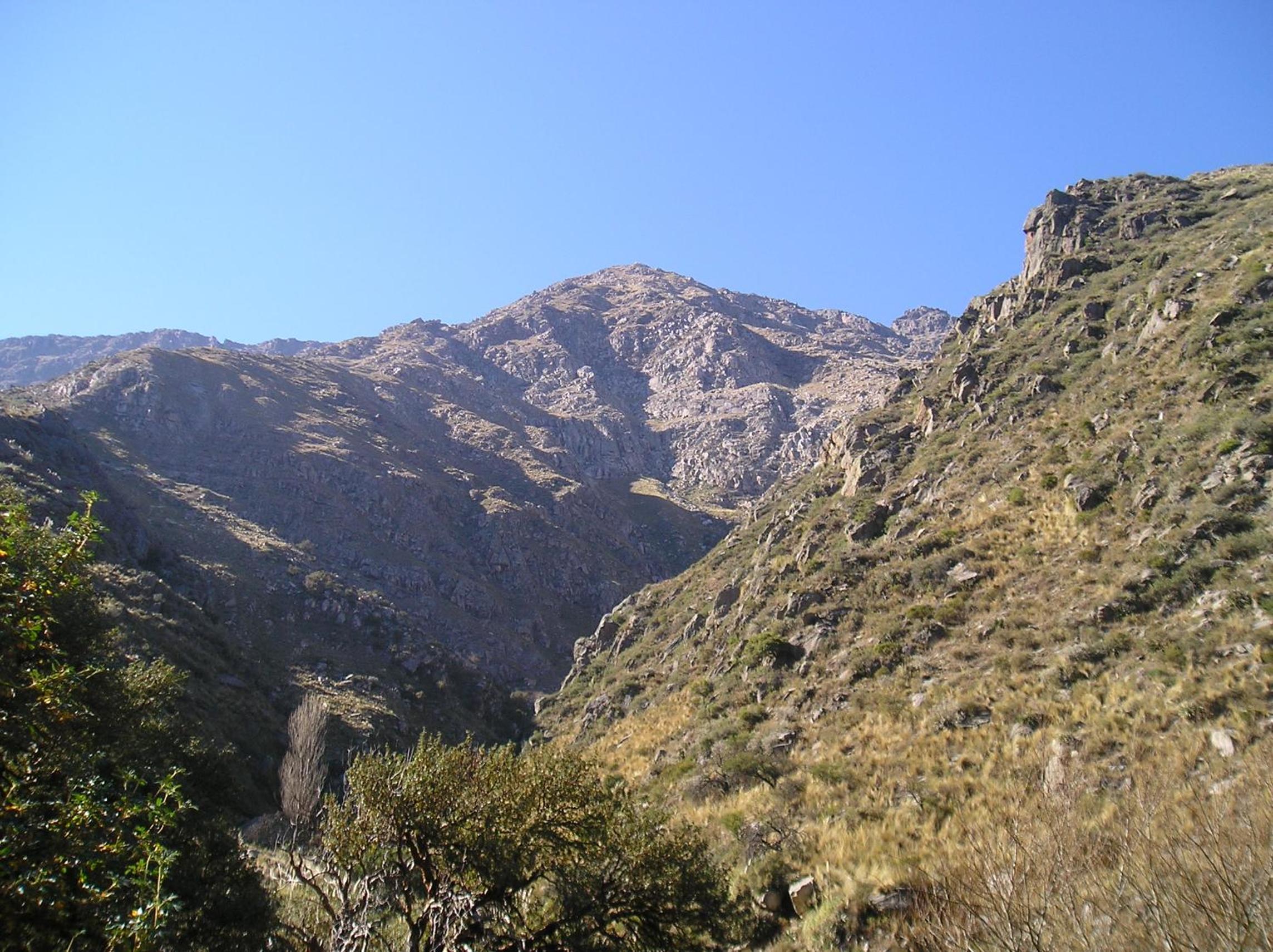 Las Dalias