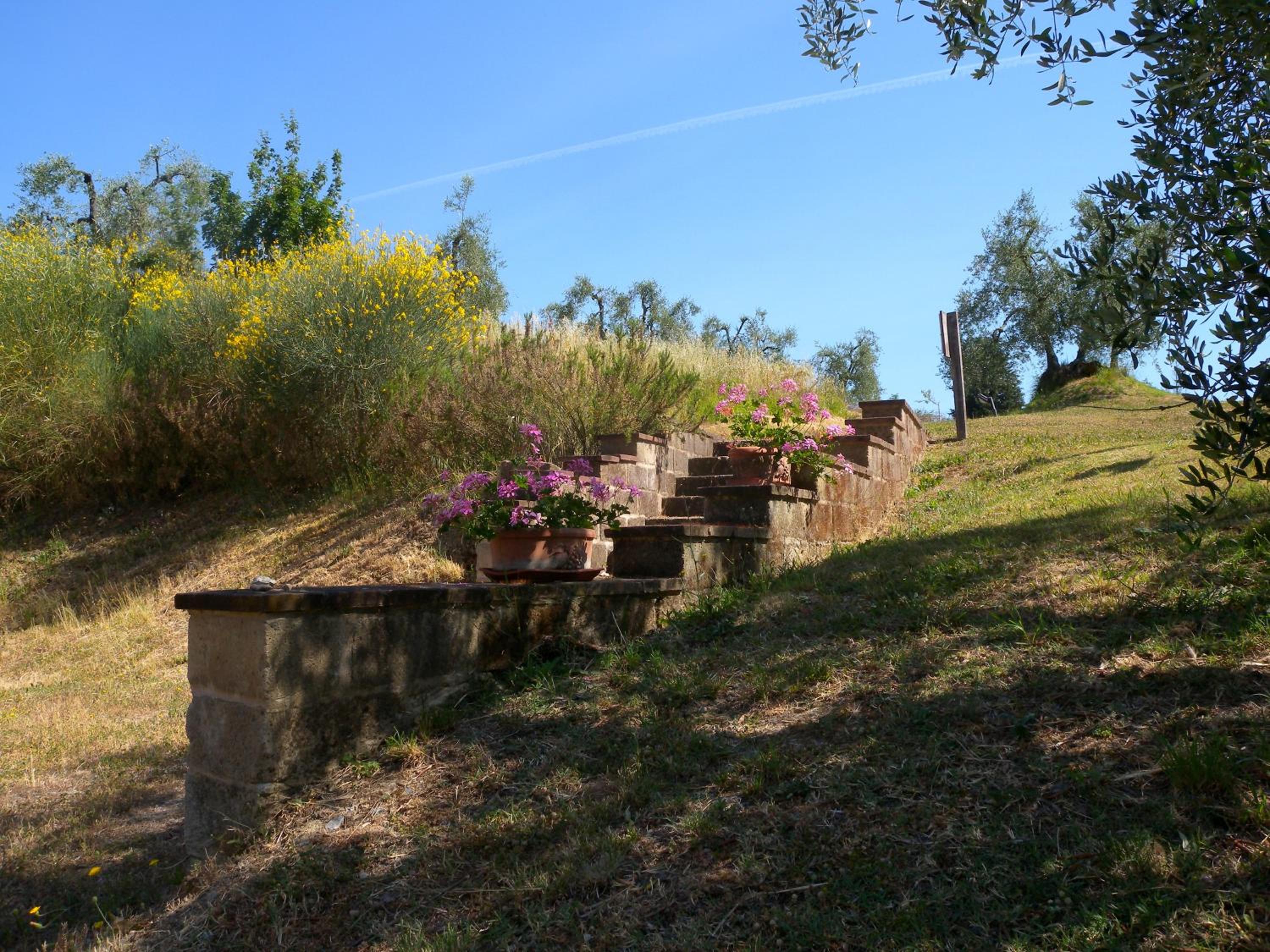 Fattoria di Colleoli