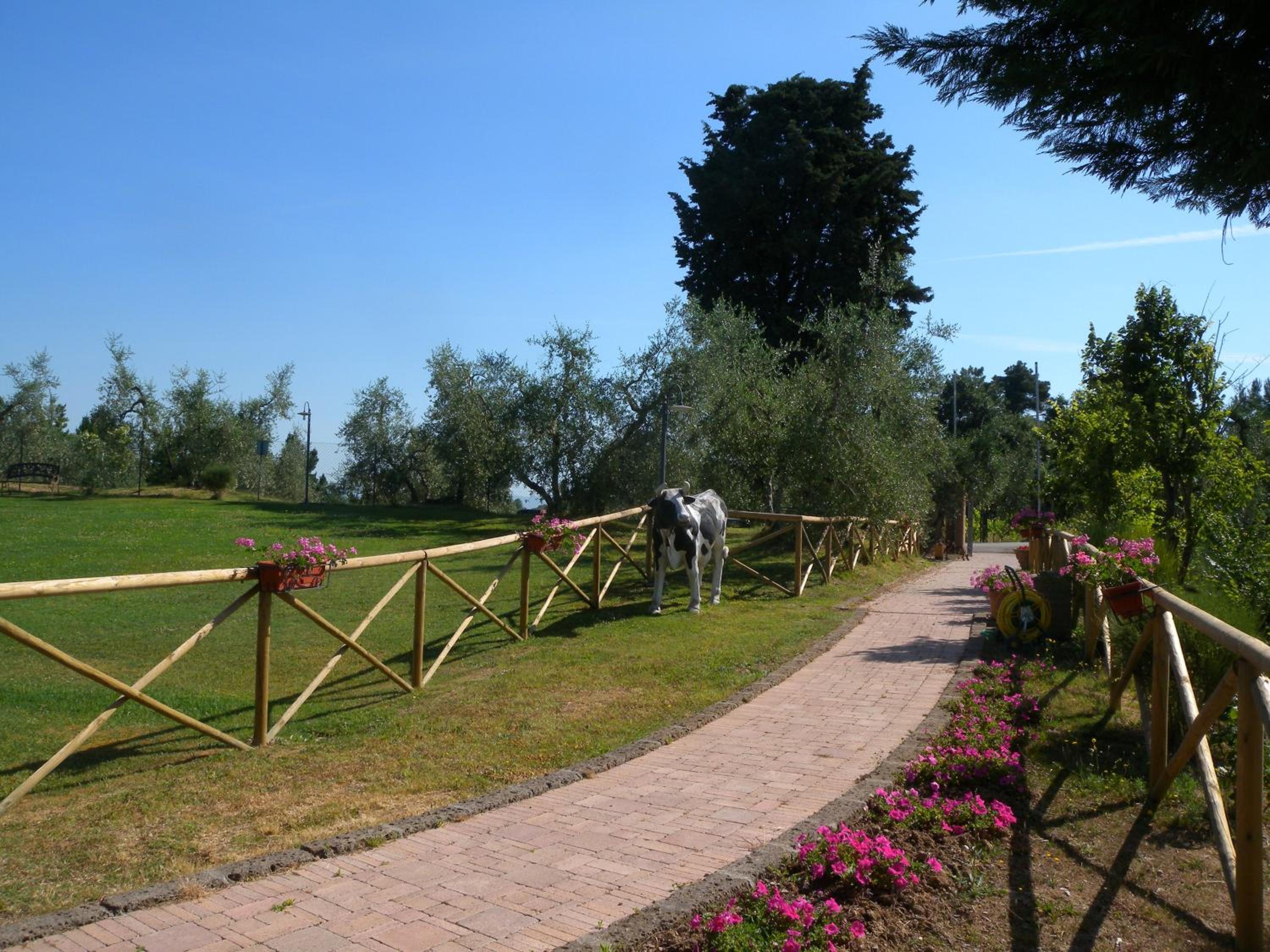 Fattoria di Colleoli