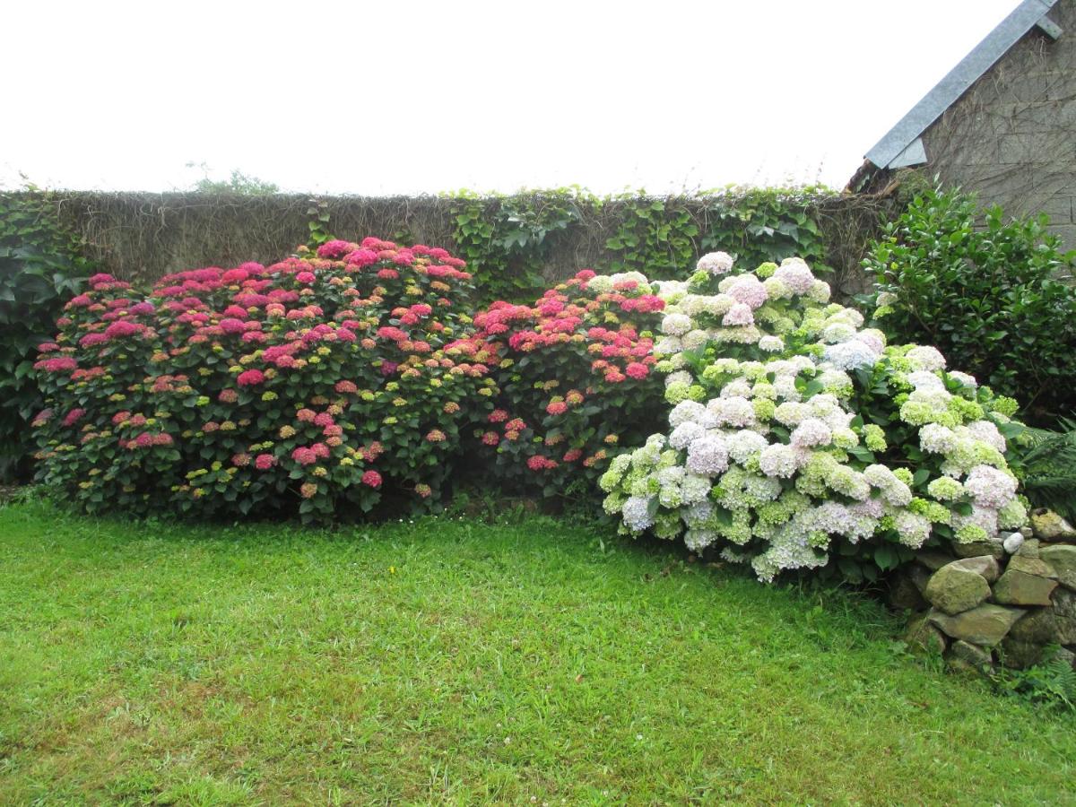 Photo 29