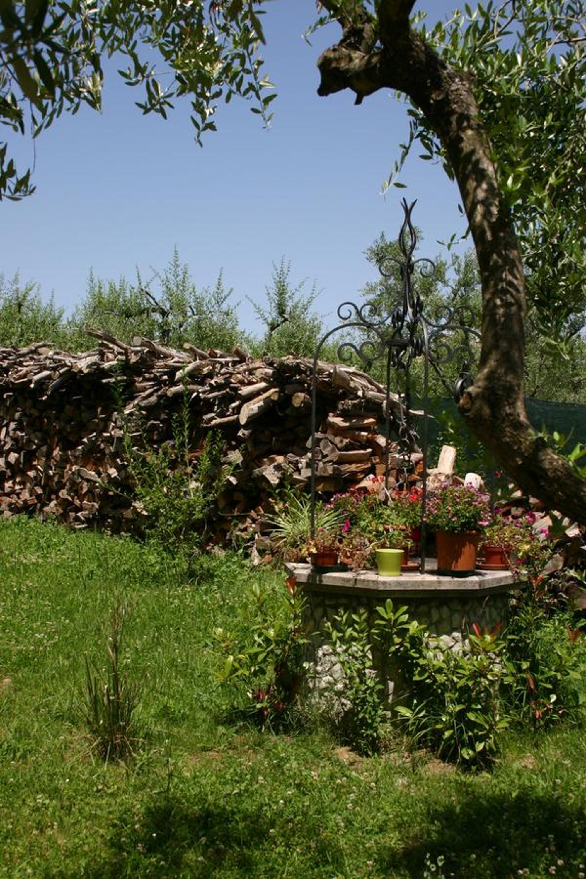 Photo 31