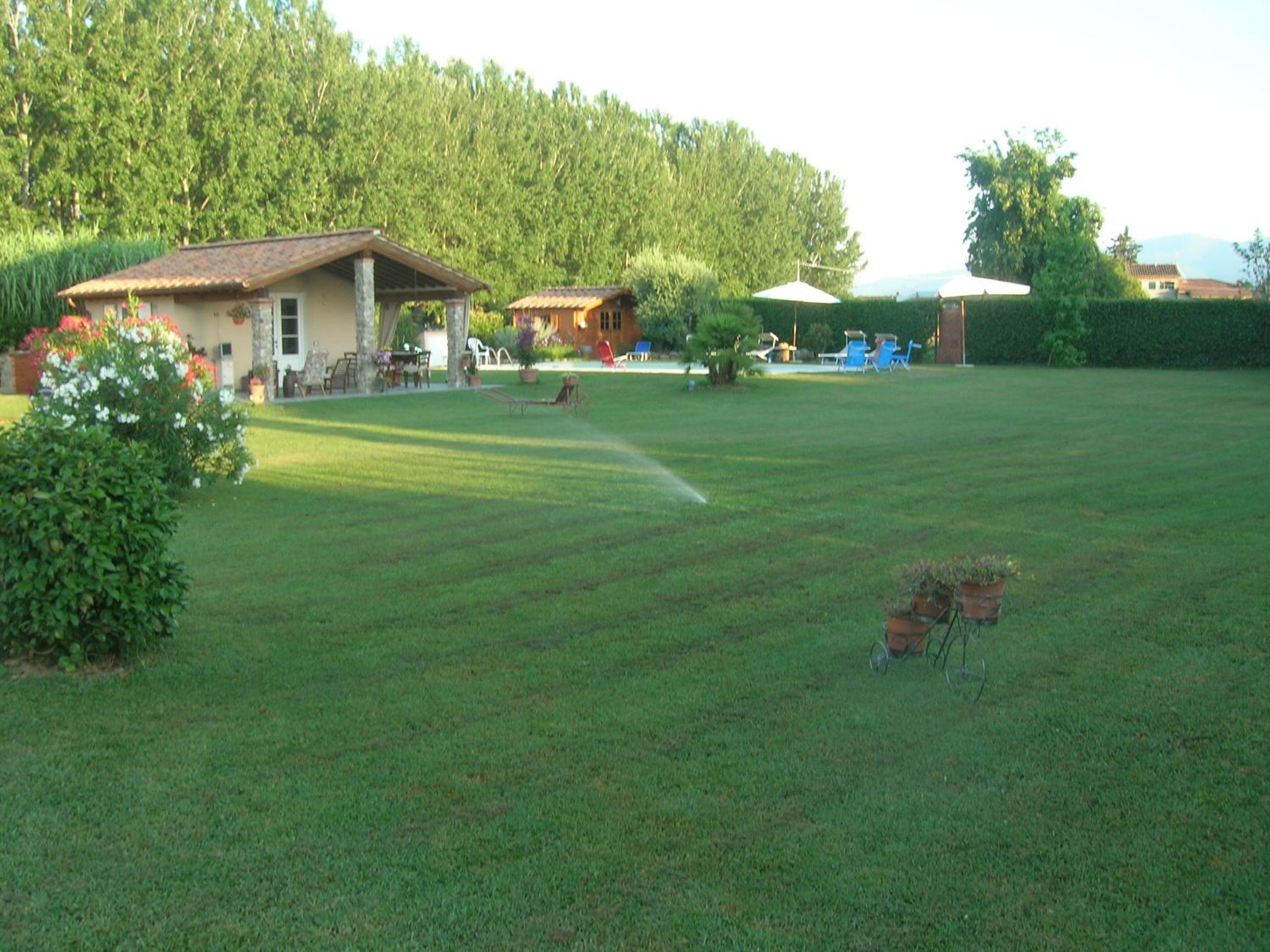 Photo 19