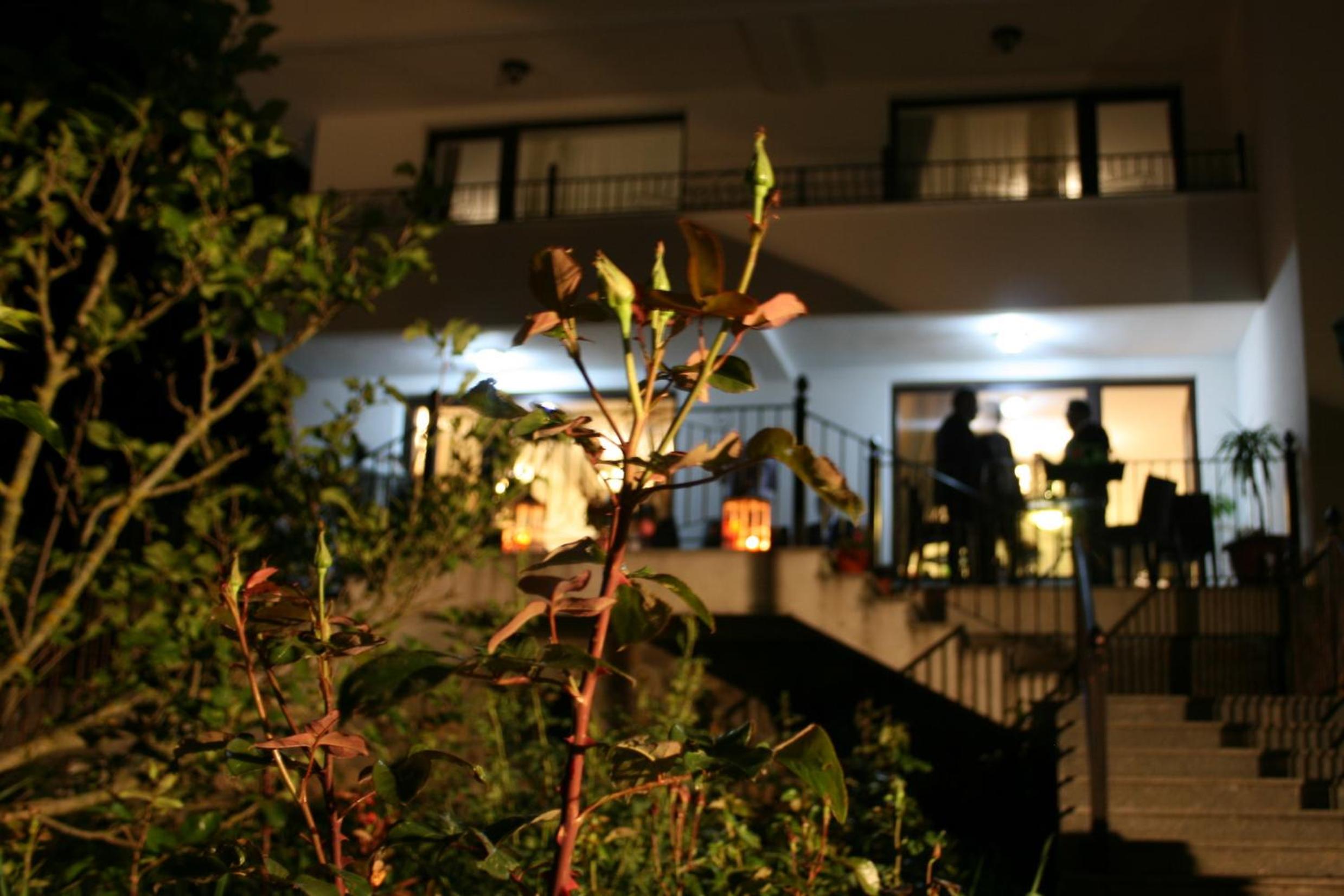 Photo 38