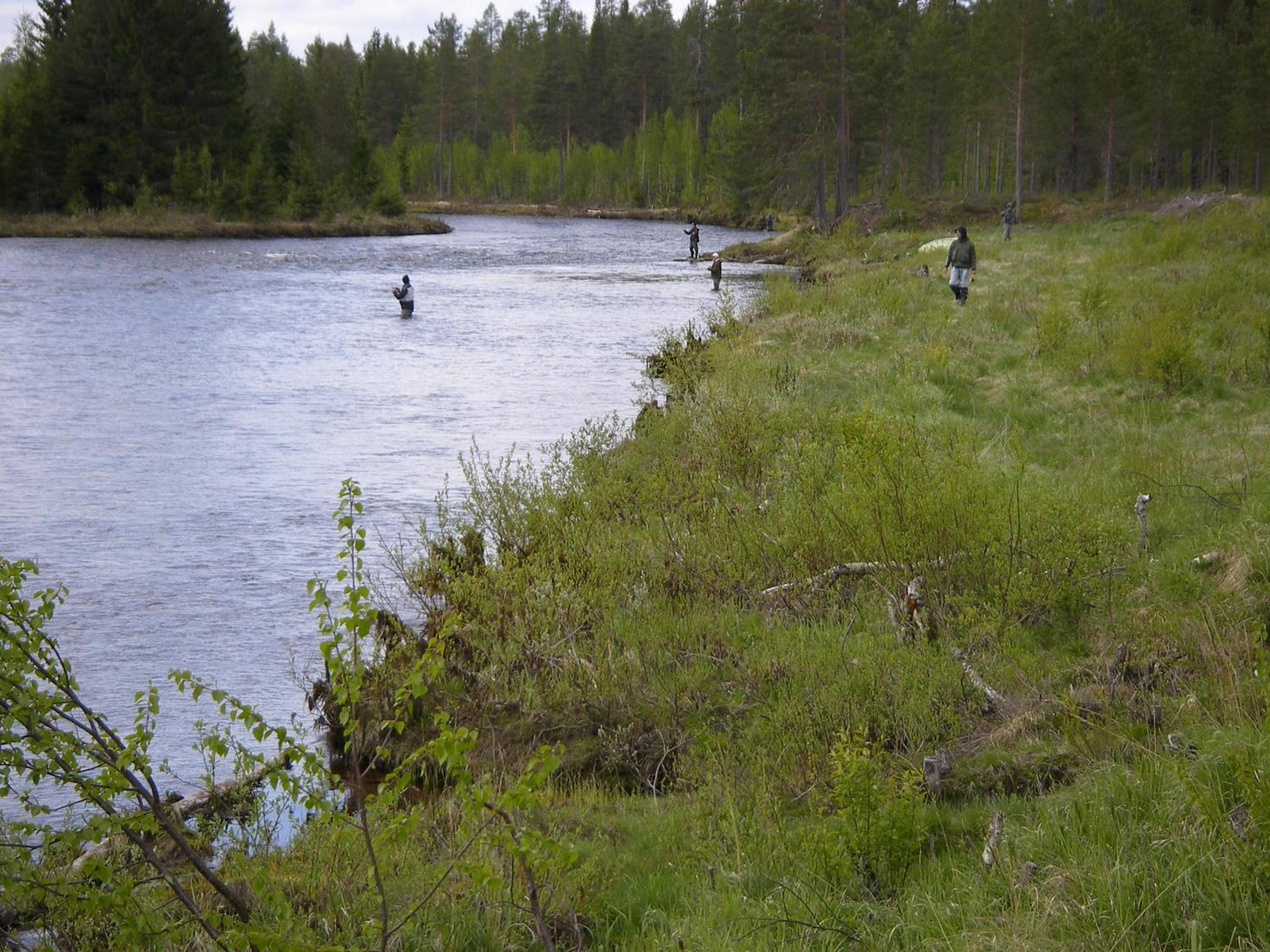 Sälens Vandrarhem i Gräsheden