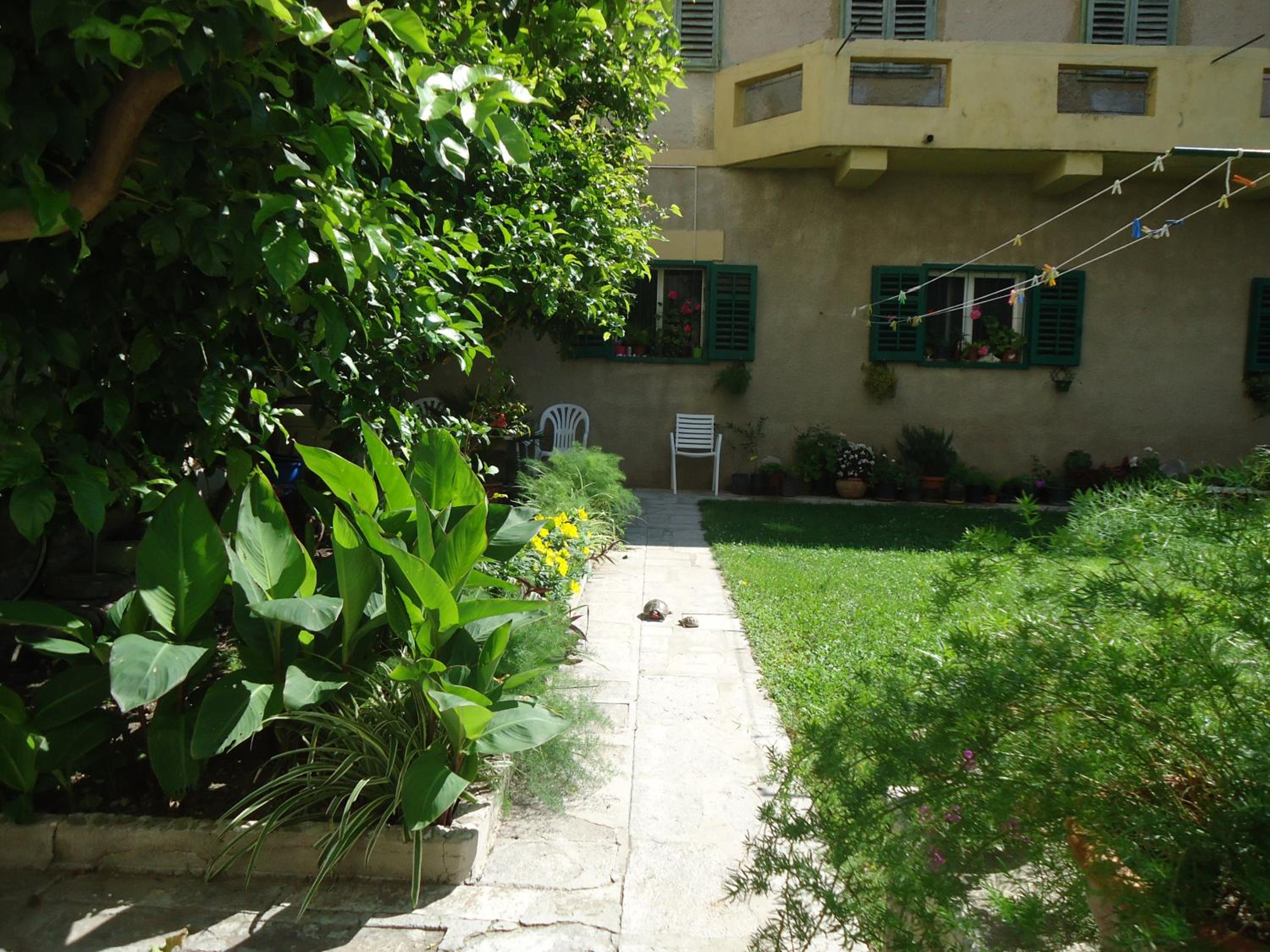 Photo 35