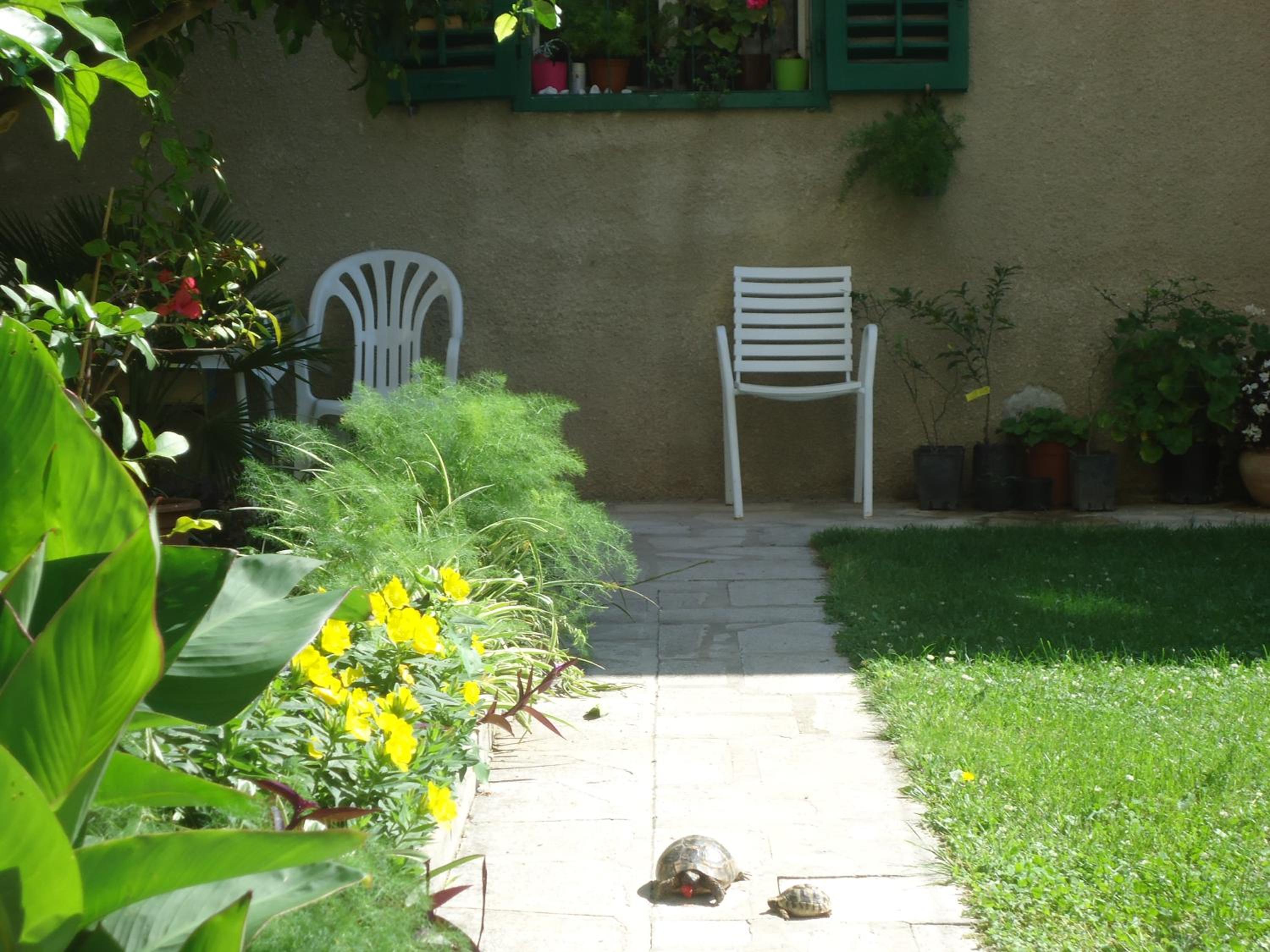 Photo 36