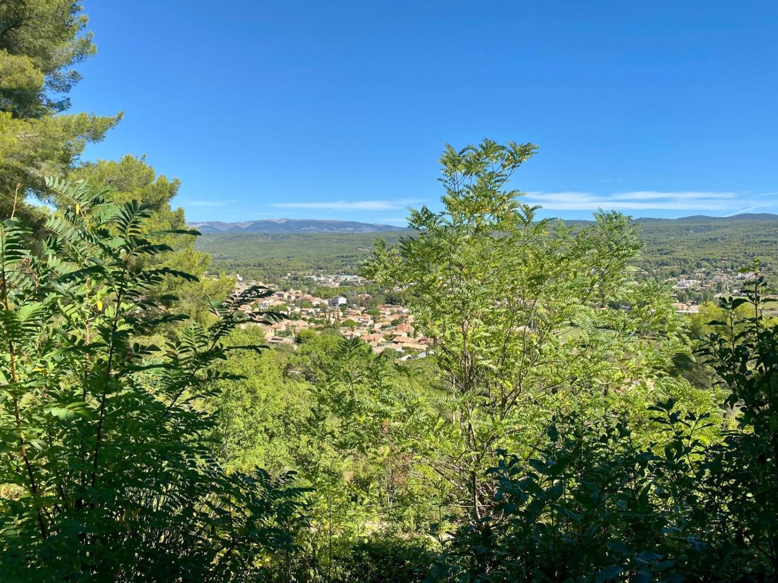 Panorea Garden