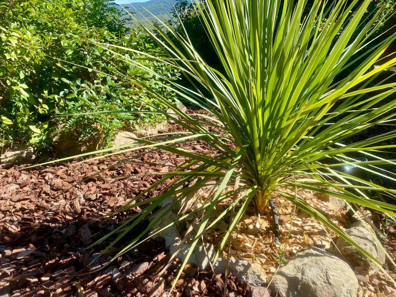 Panorea Garden