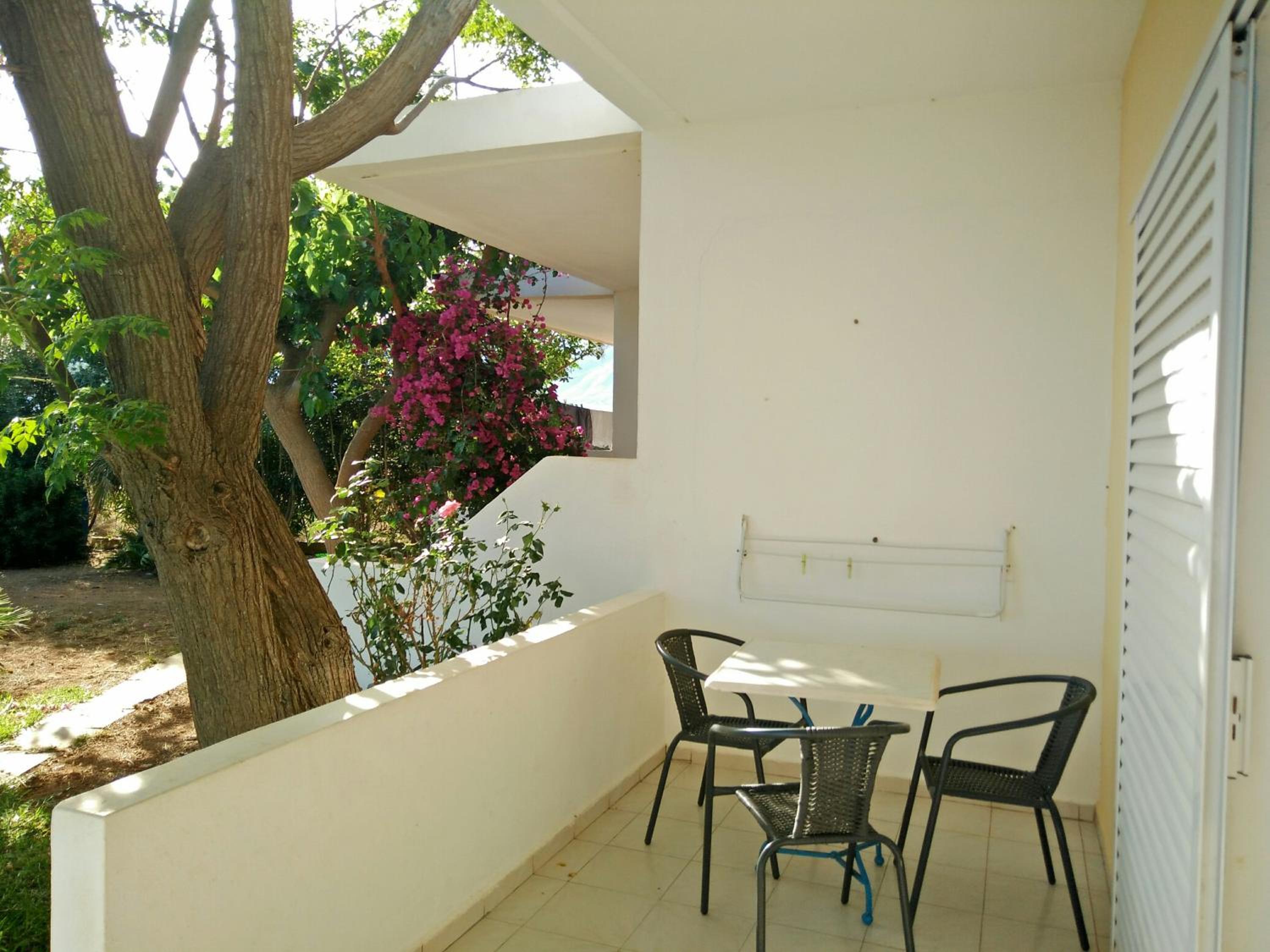 Ledakis Studios