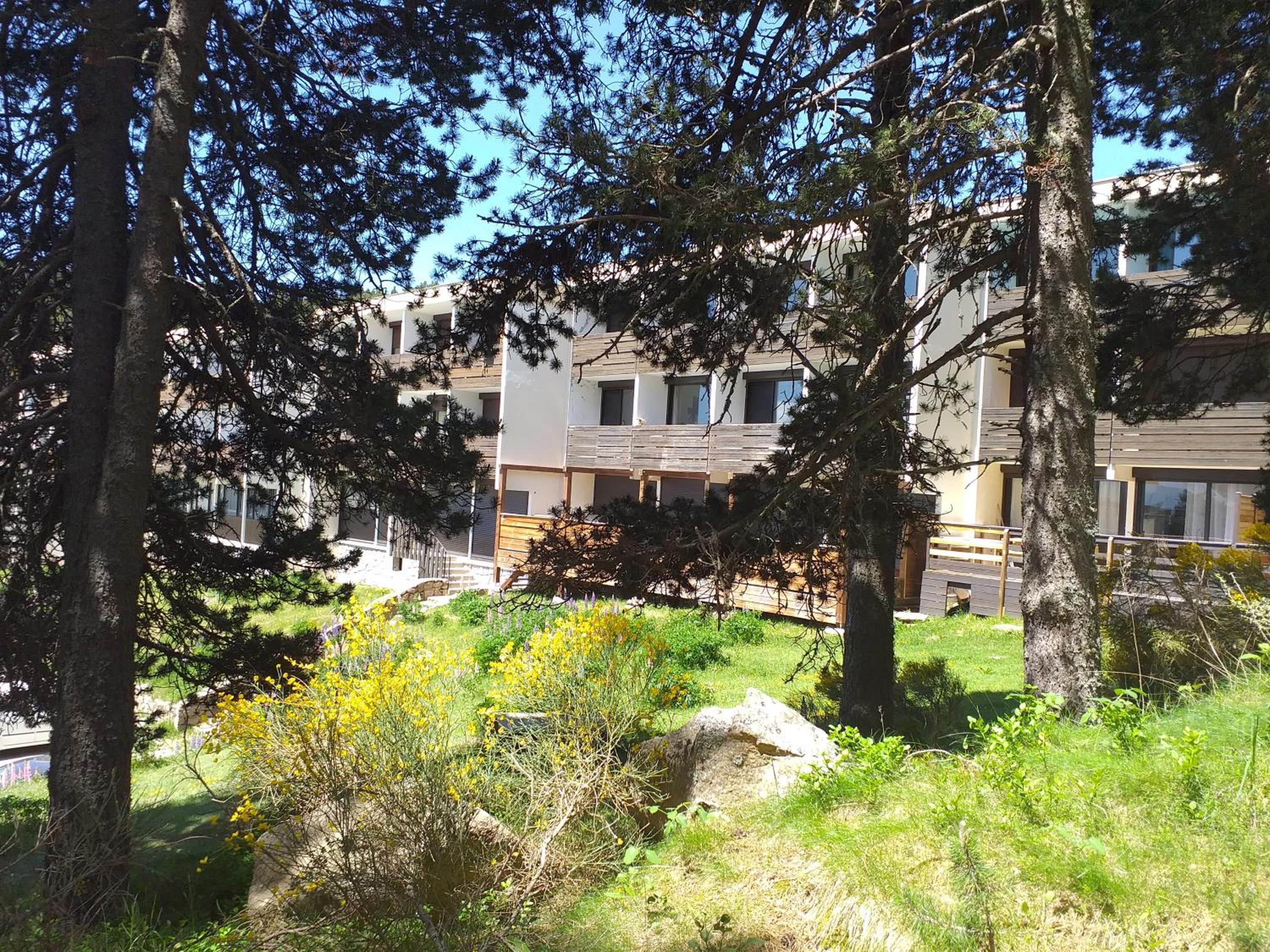 A l'orée des bois