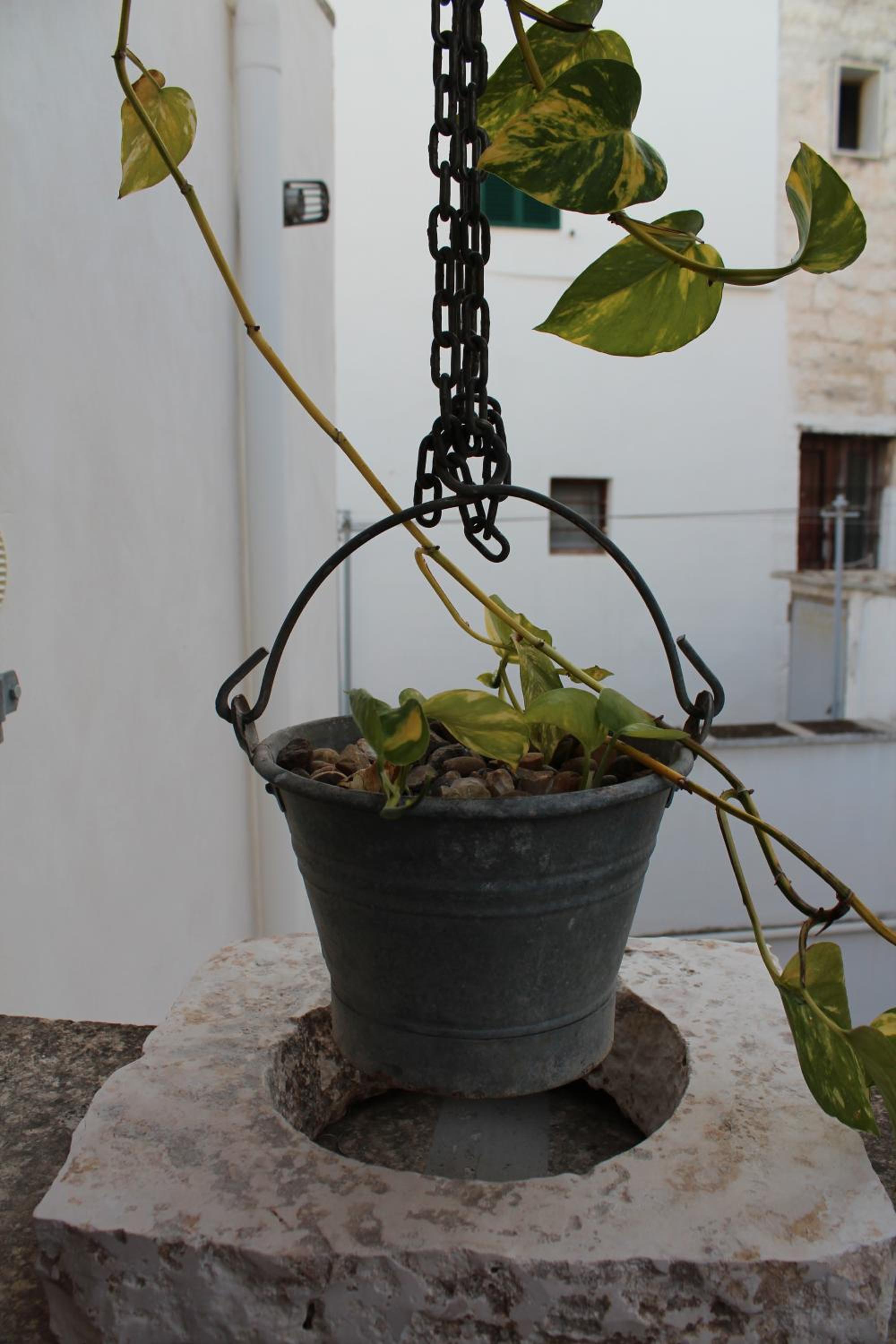 Terracielo Guest House