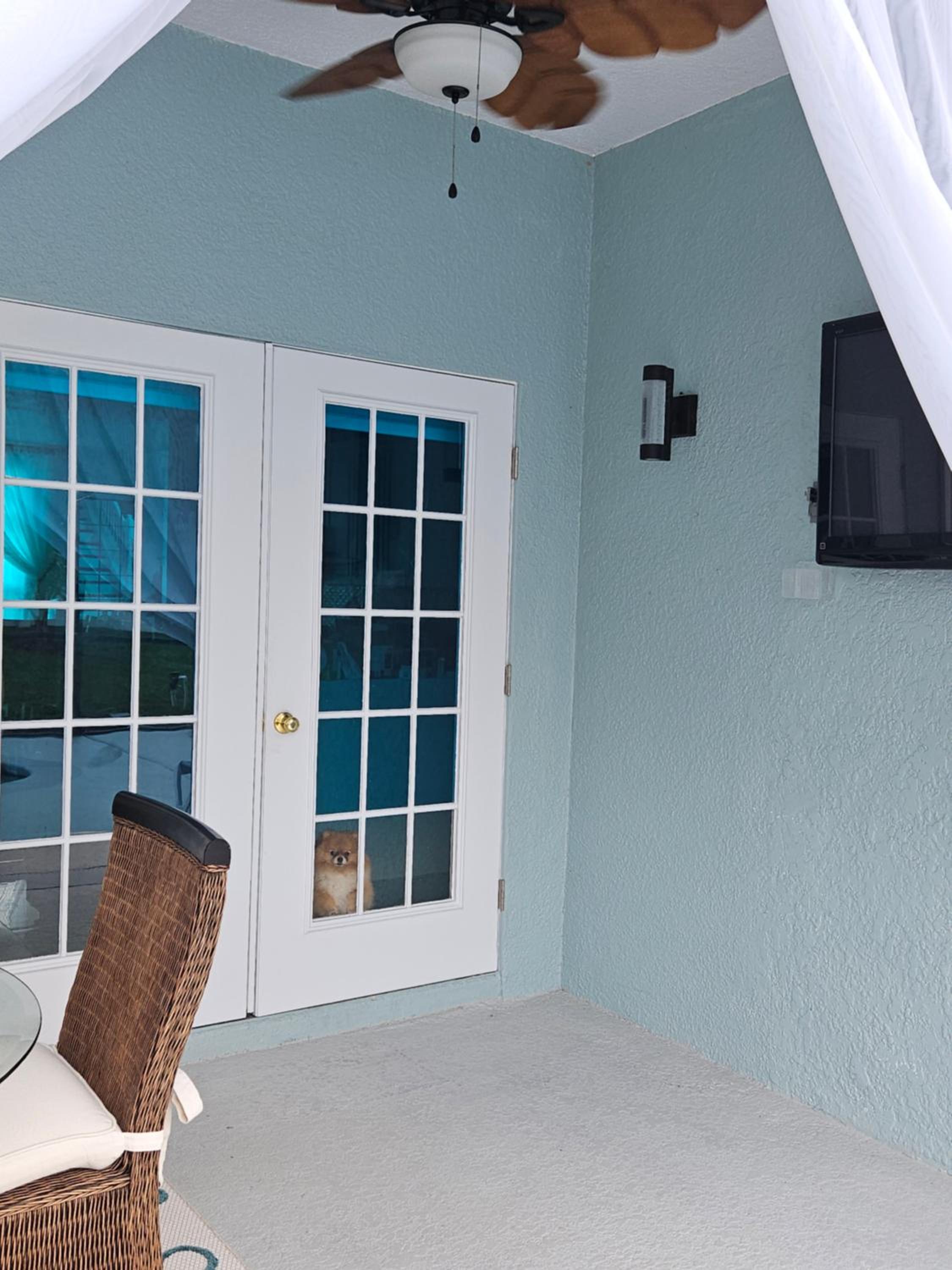 Charming, beautiful house closer to Disney World