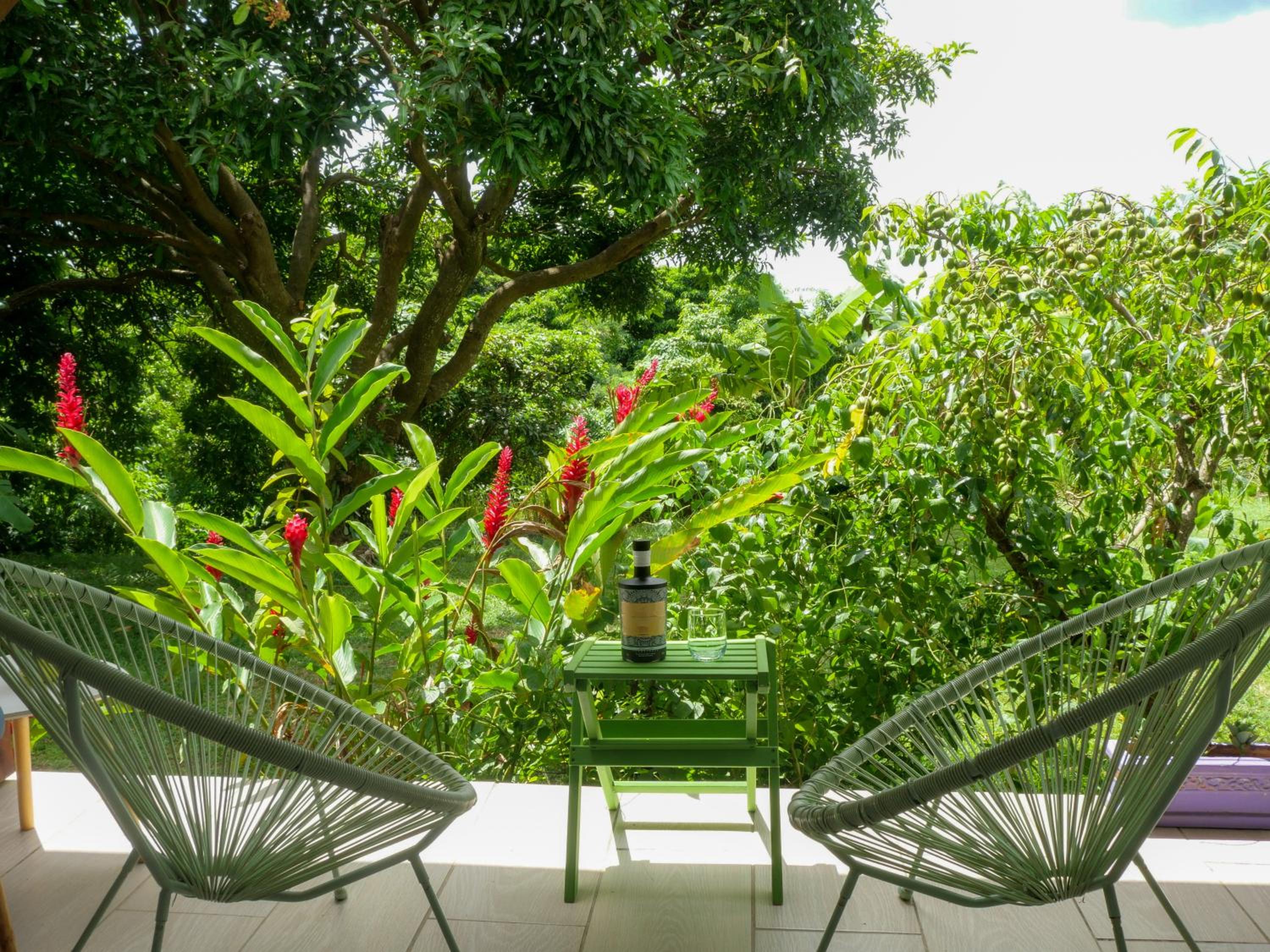 Ti Kaz Houelmont, Vue jardin tropical, proche plage de Rivière-Sens