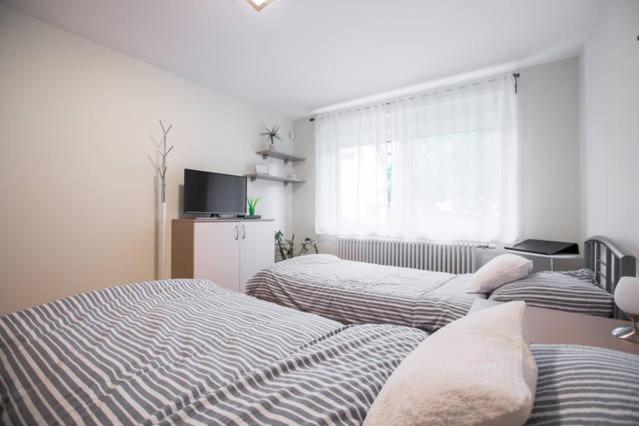 Apartment Jasna view 5