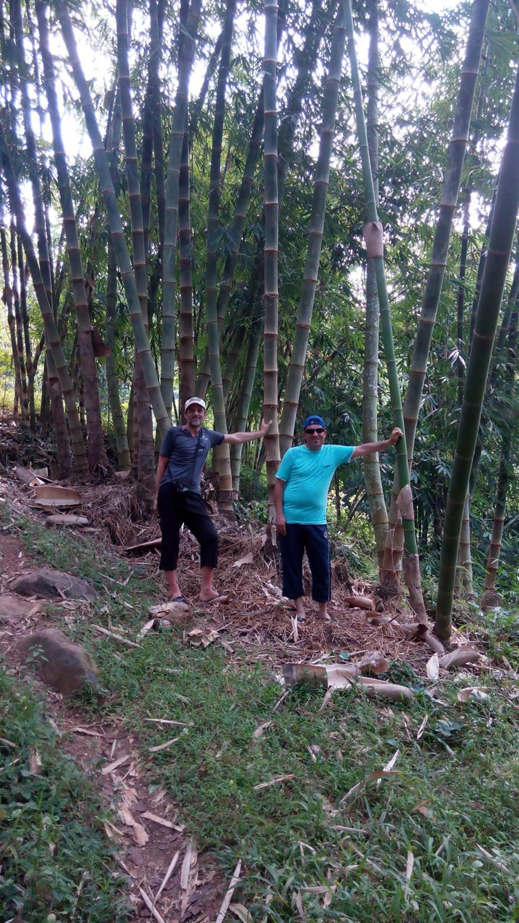 Tetebatu Indah Homestay