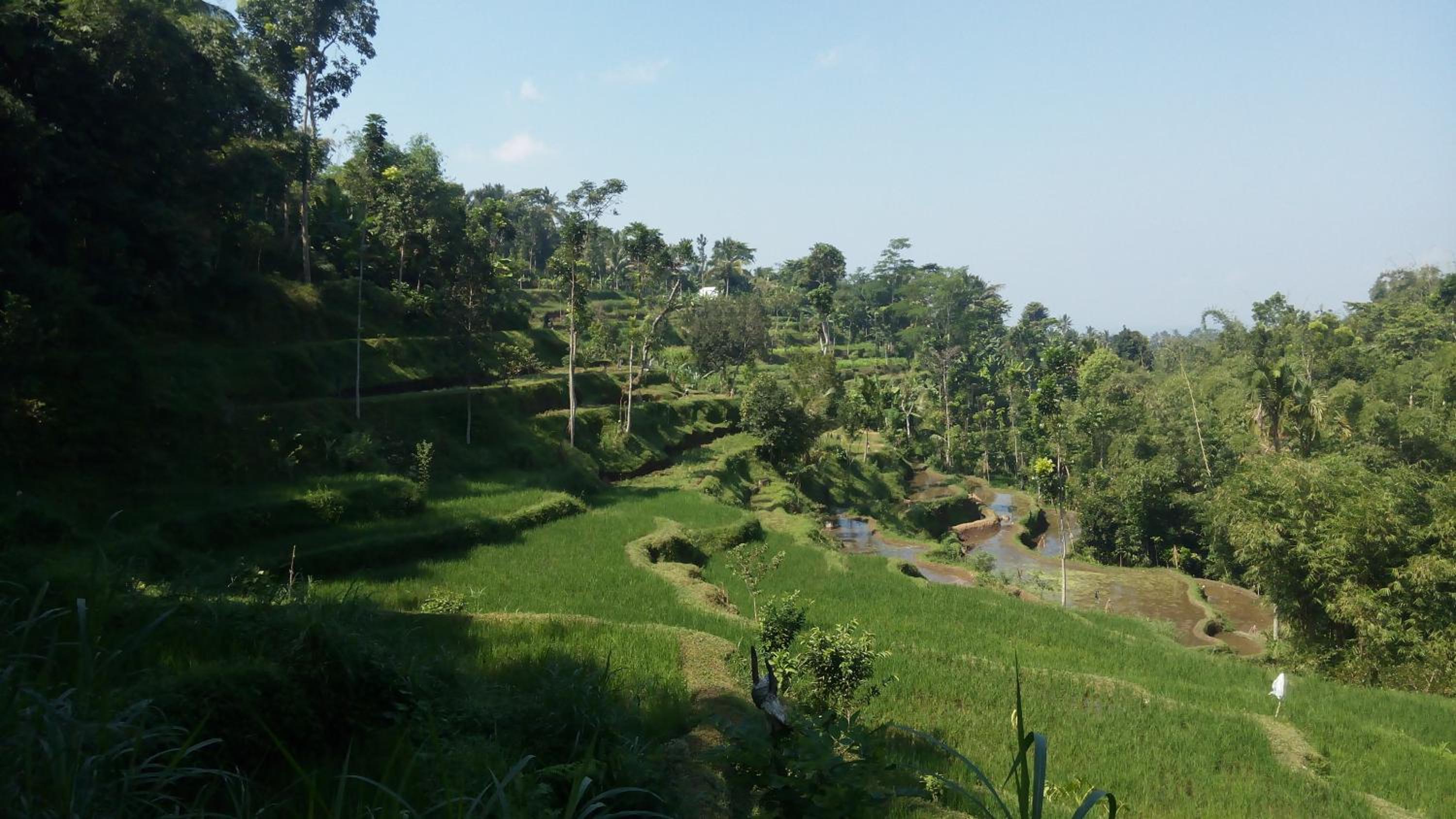 Tetebatu Indah Homestay